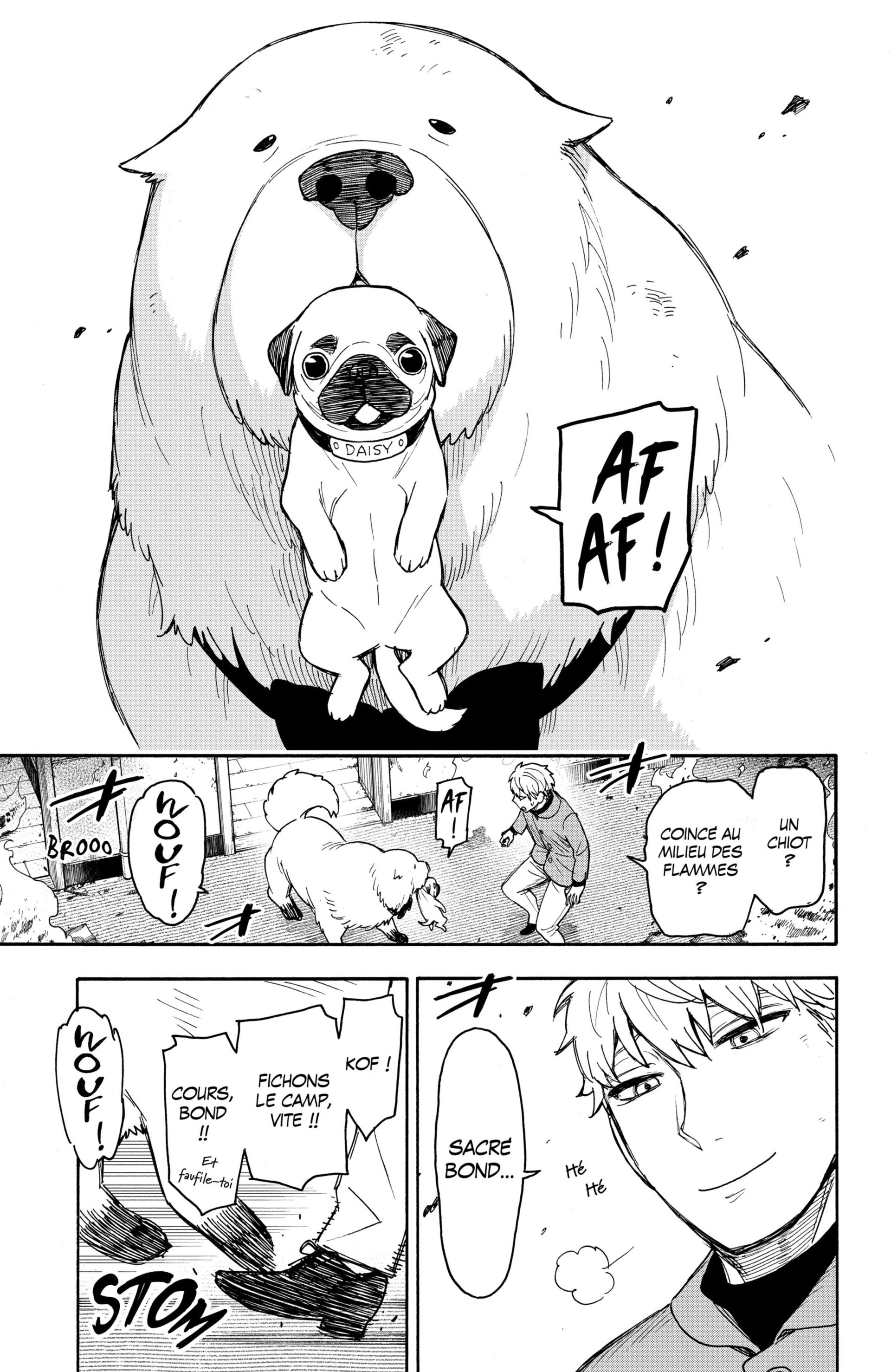 Read Spy X Family FR Manga Online