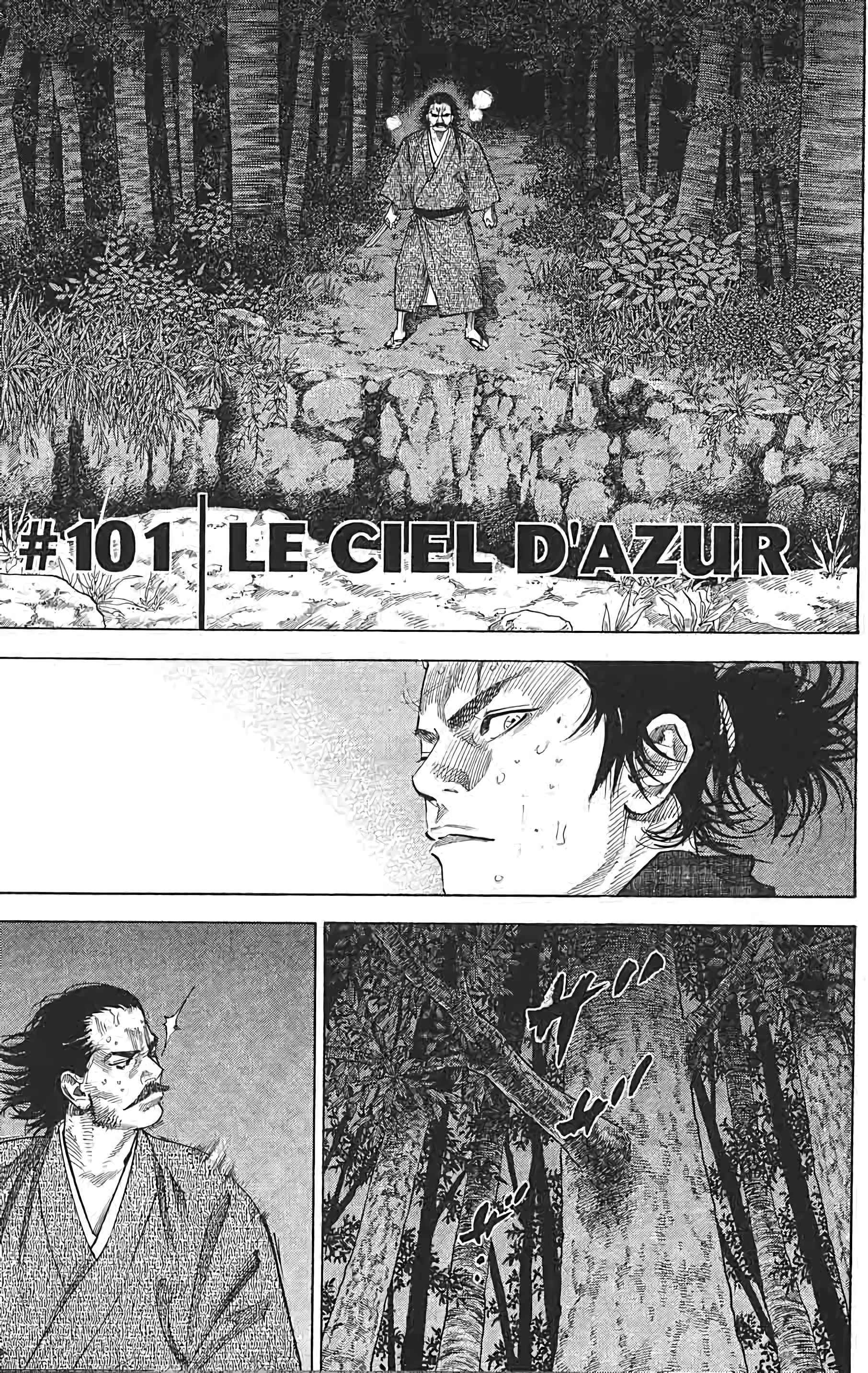 Read Vagabond FR Manga Online