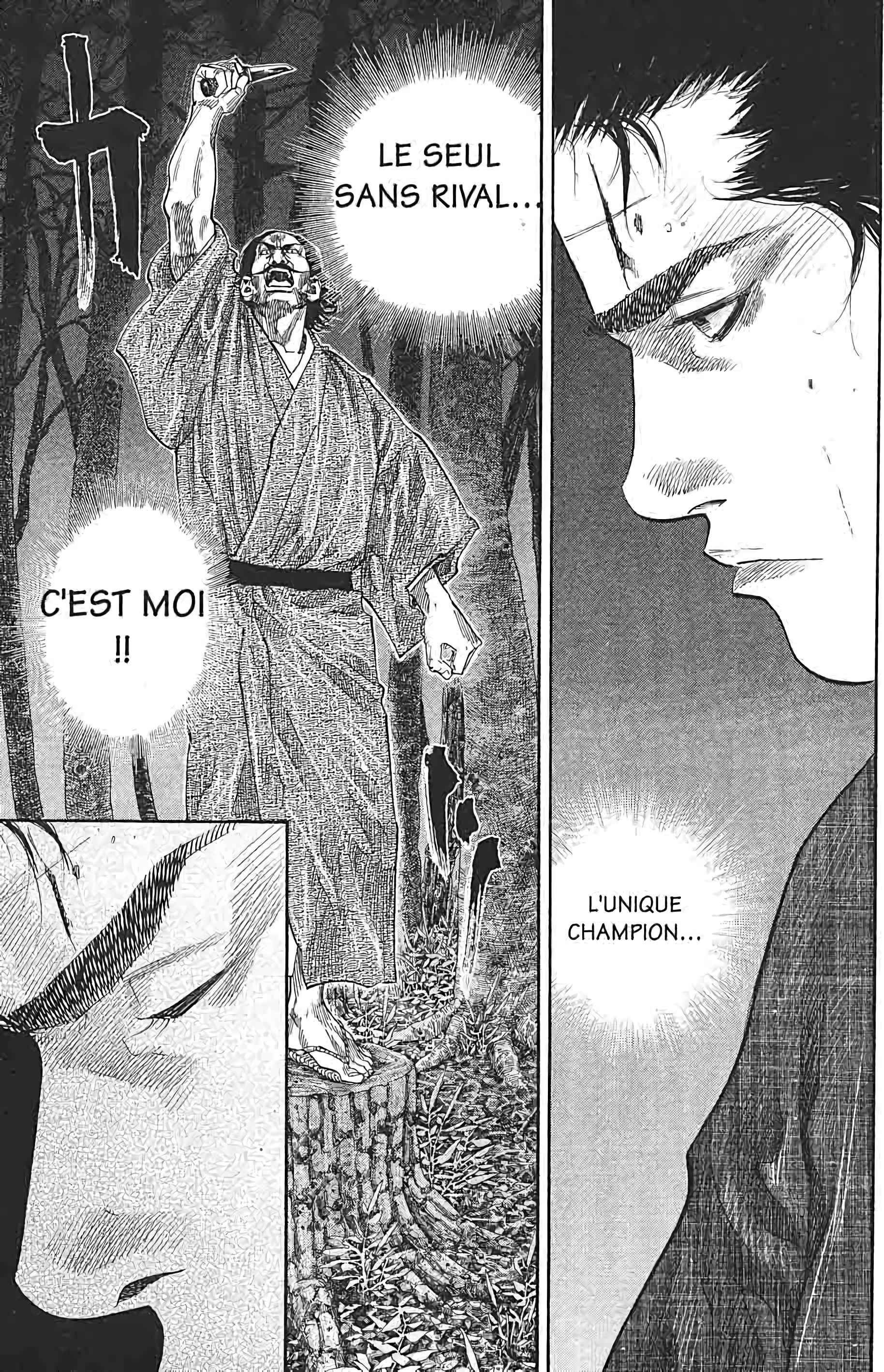 Read Vagabond FR Manga Online