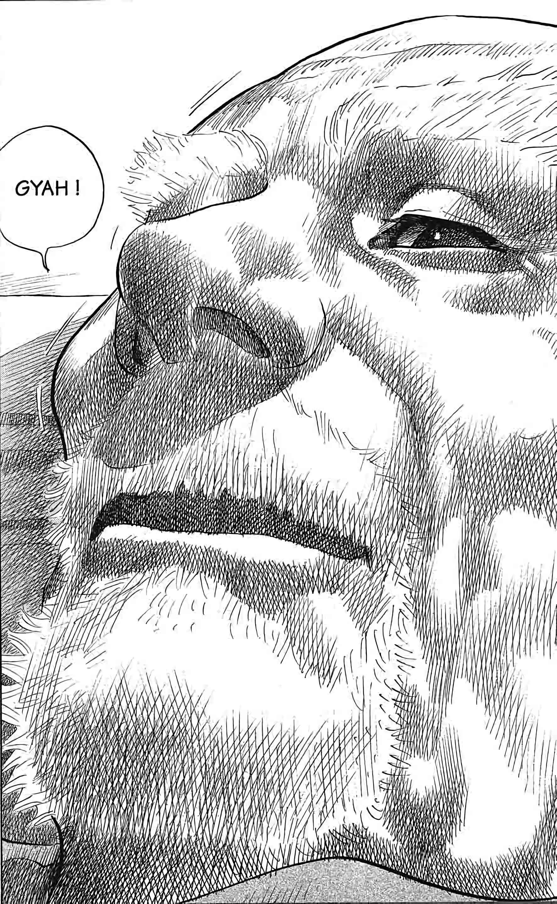 Read Vagabond FR Manga Online