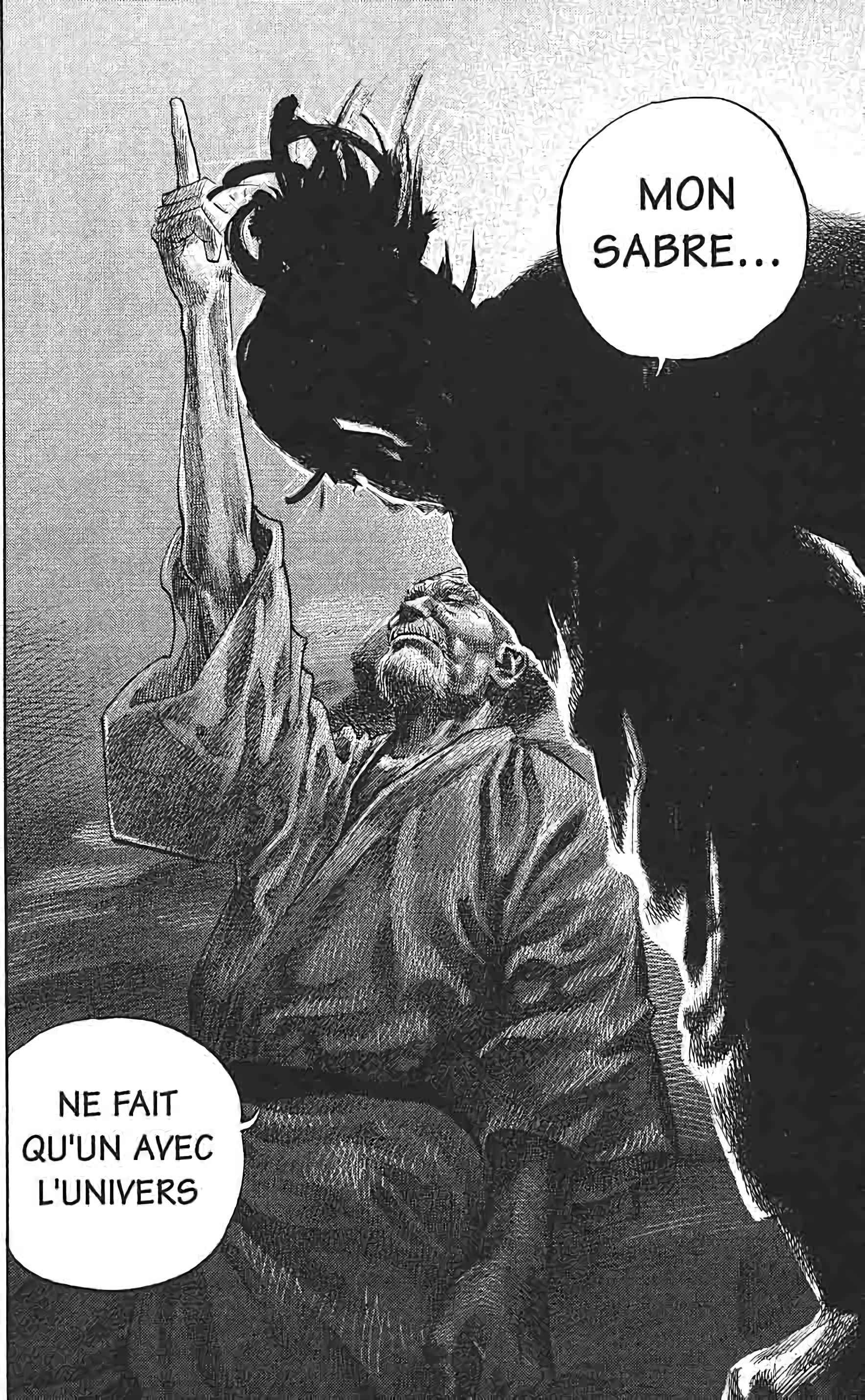 Read Vagabond FR Manga Online