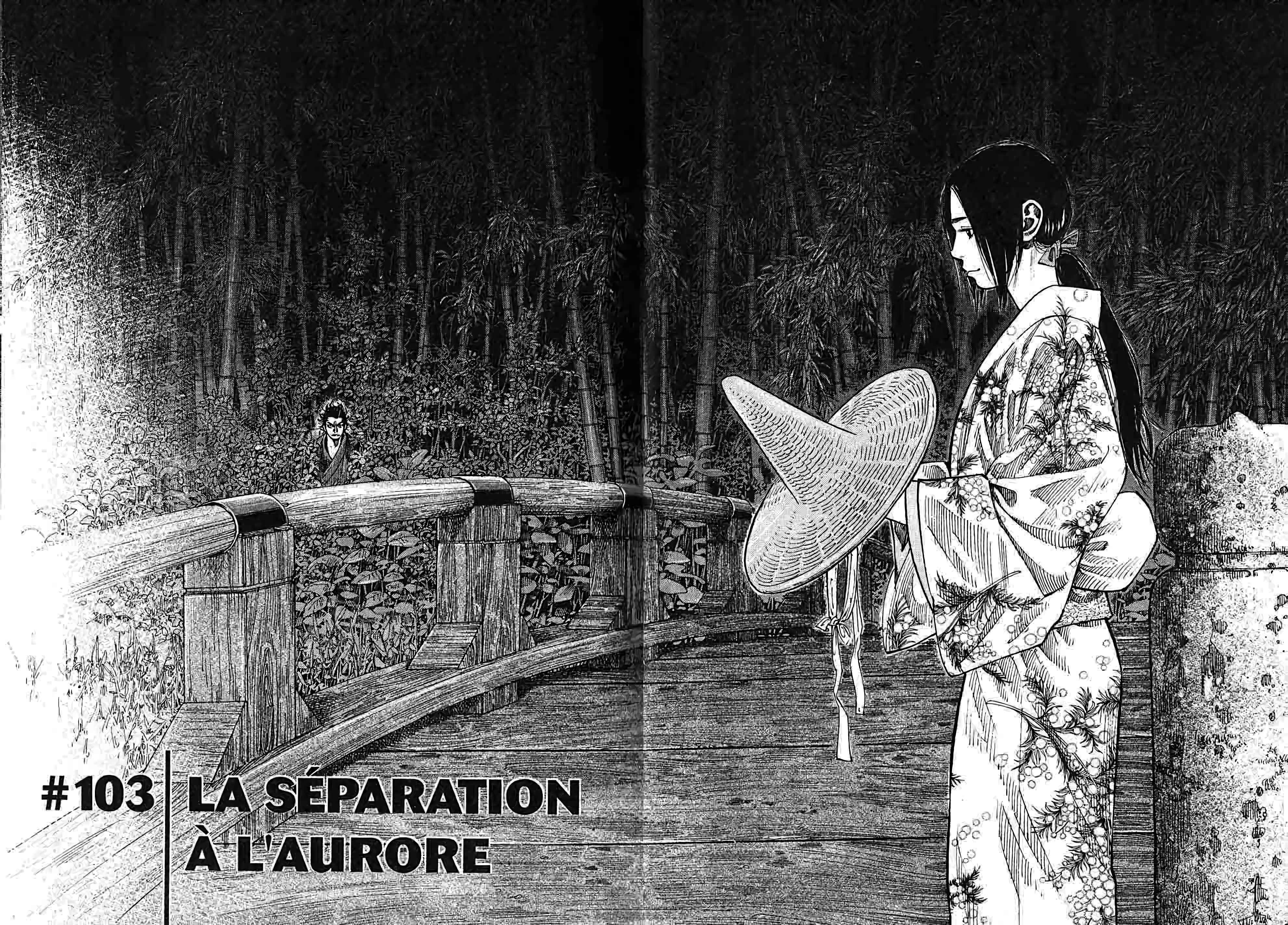 Read Vagabond FR Manga Online