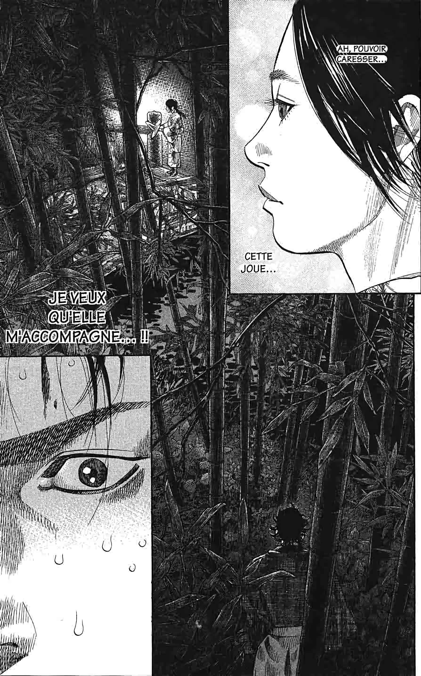 Read Vagabond FR Manga Online
