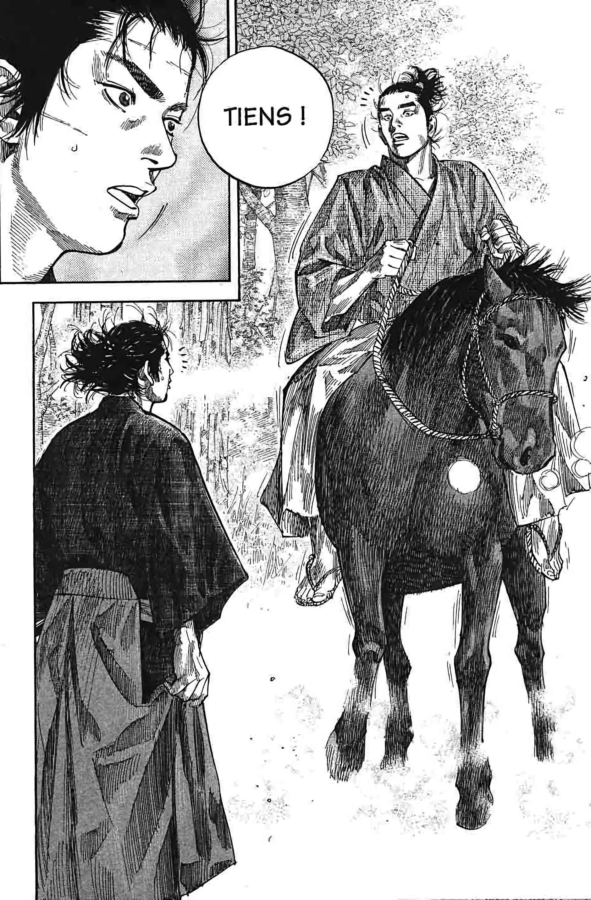 Read Vagabond FR Manga Online