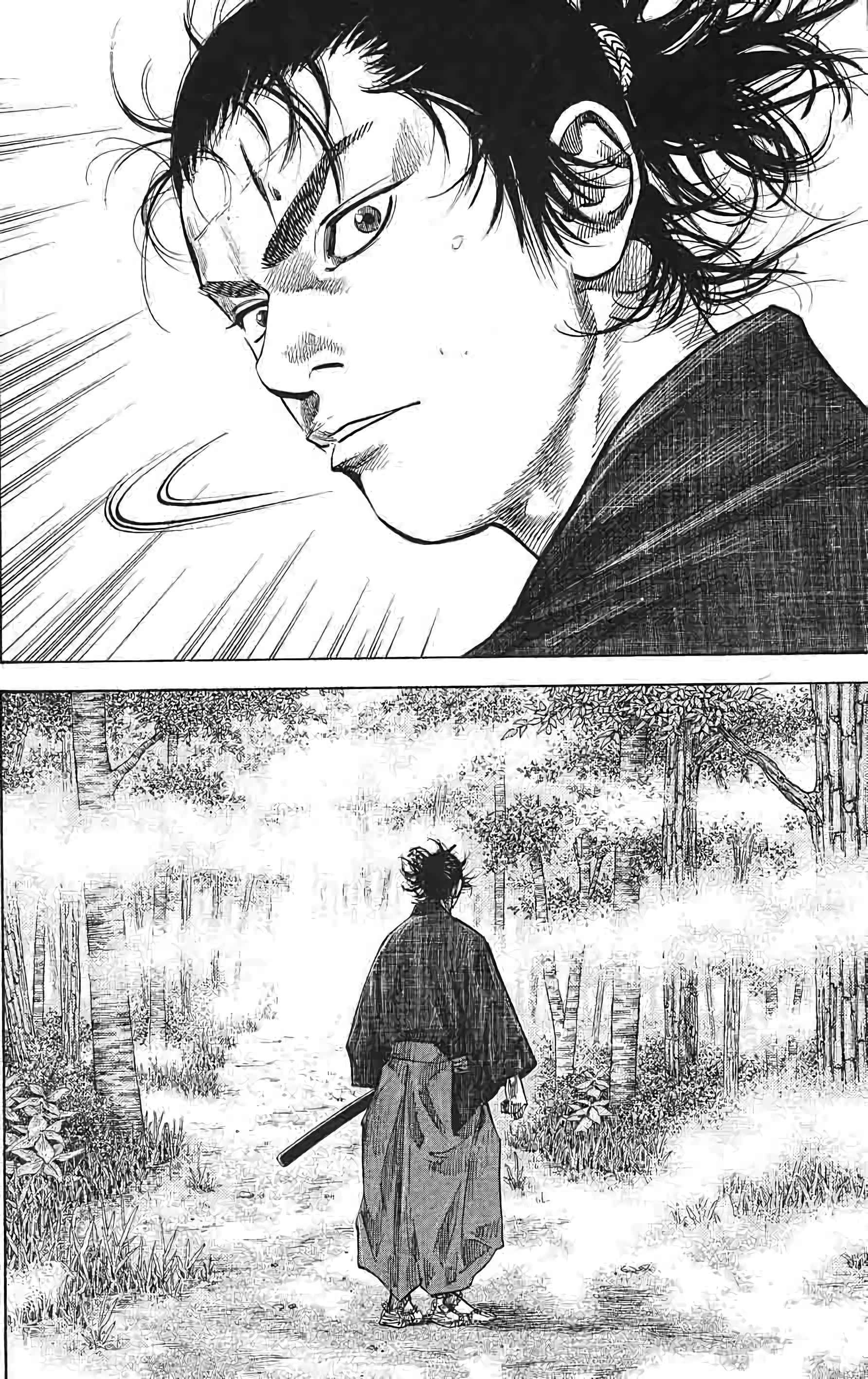 Read Vagabond FR Manga Online