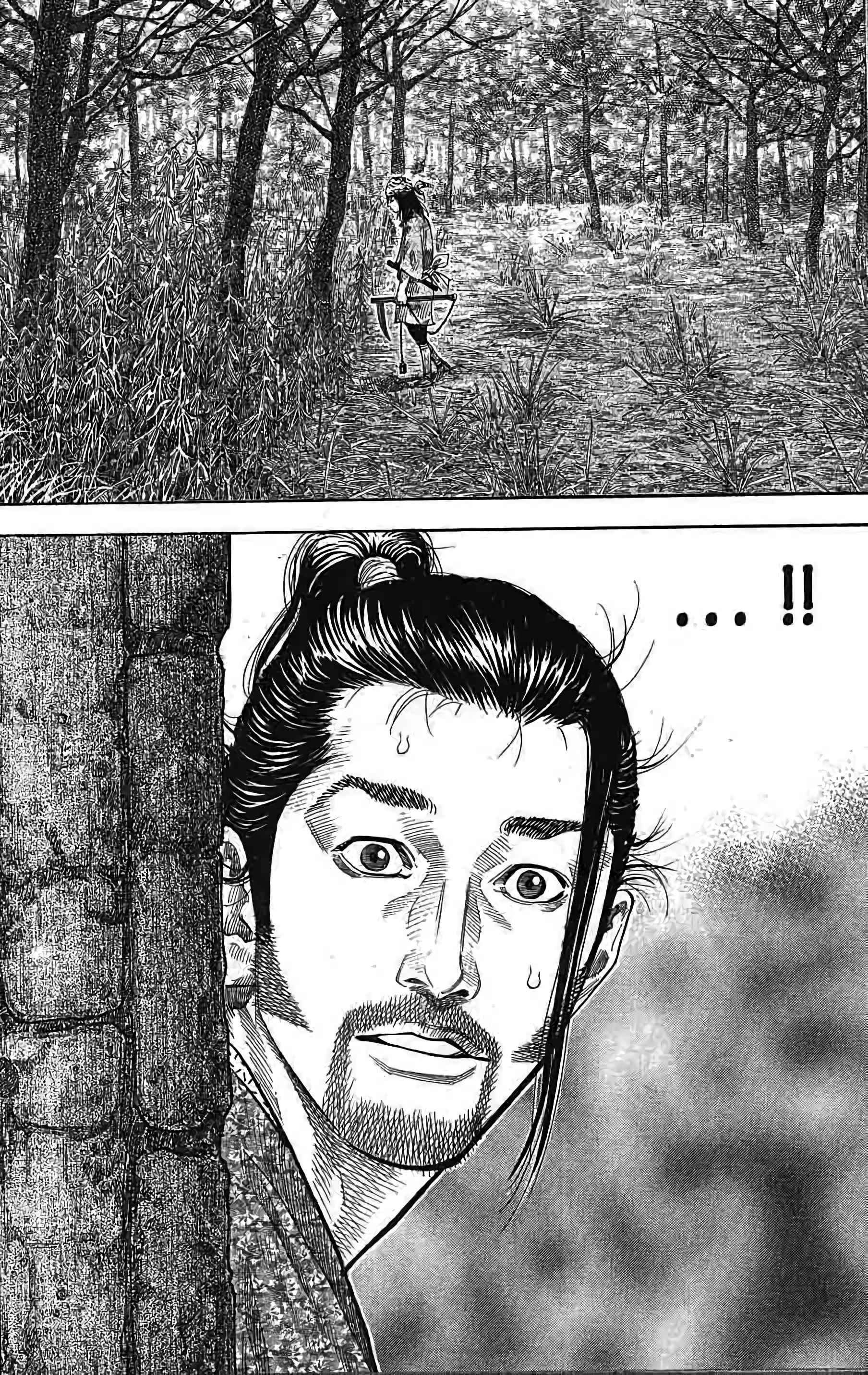 Read Vagabond FR Manga Online