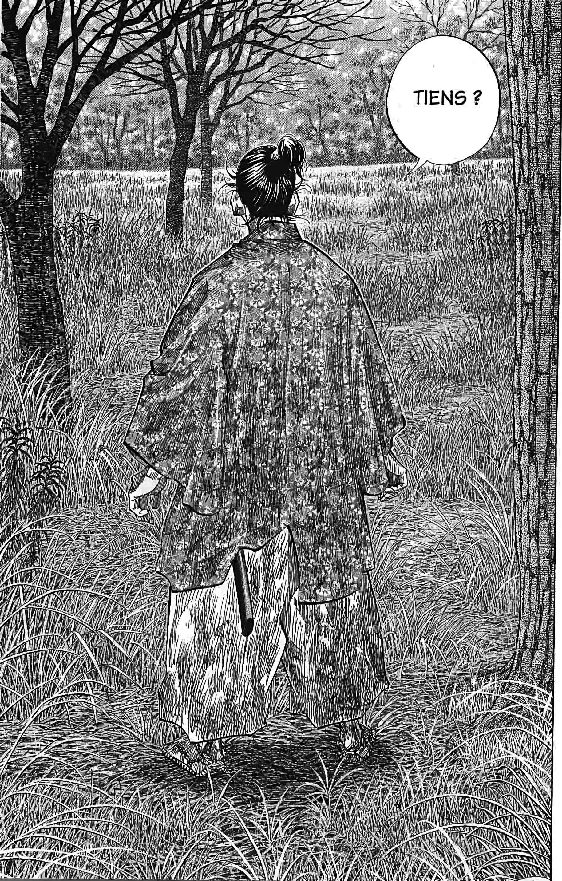 Read Vagabond FR Manga Online