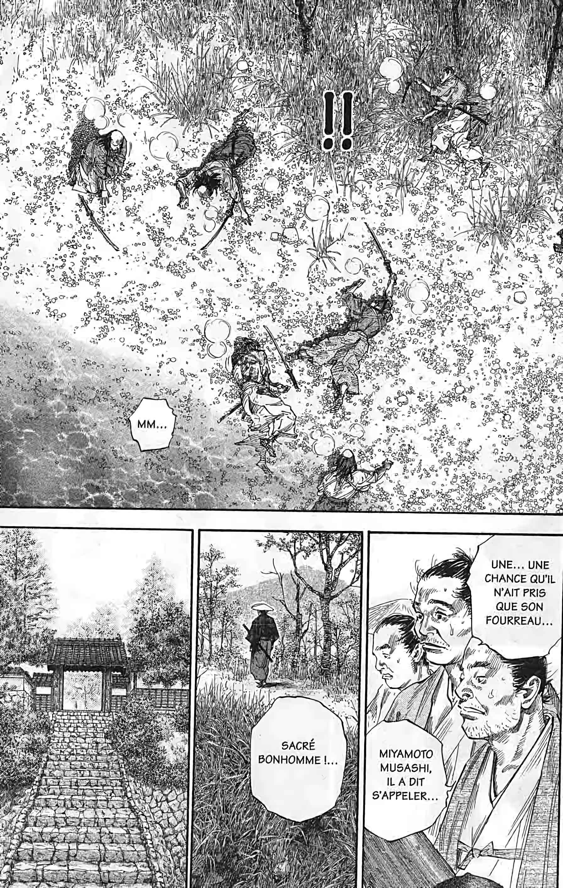 Read Vagabond FR Manga Online