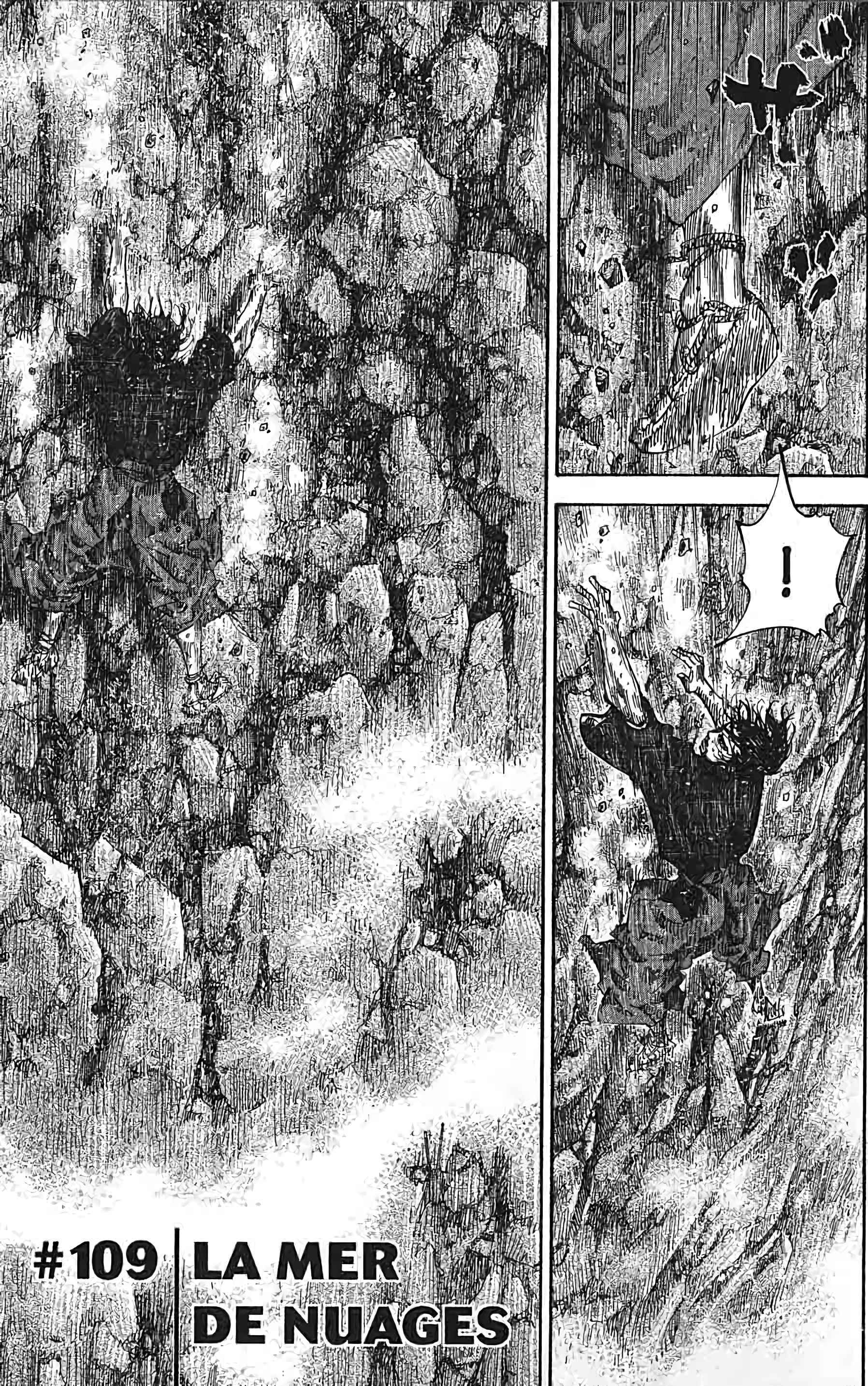 Read Vagabond FR Manga Online