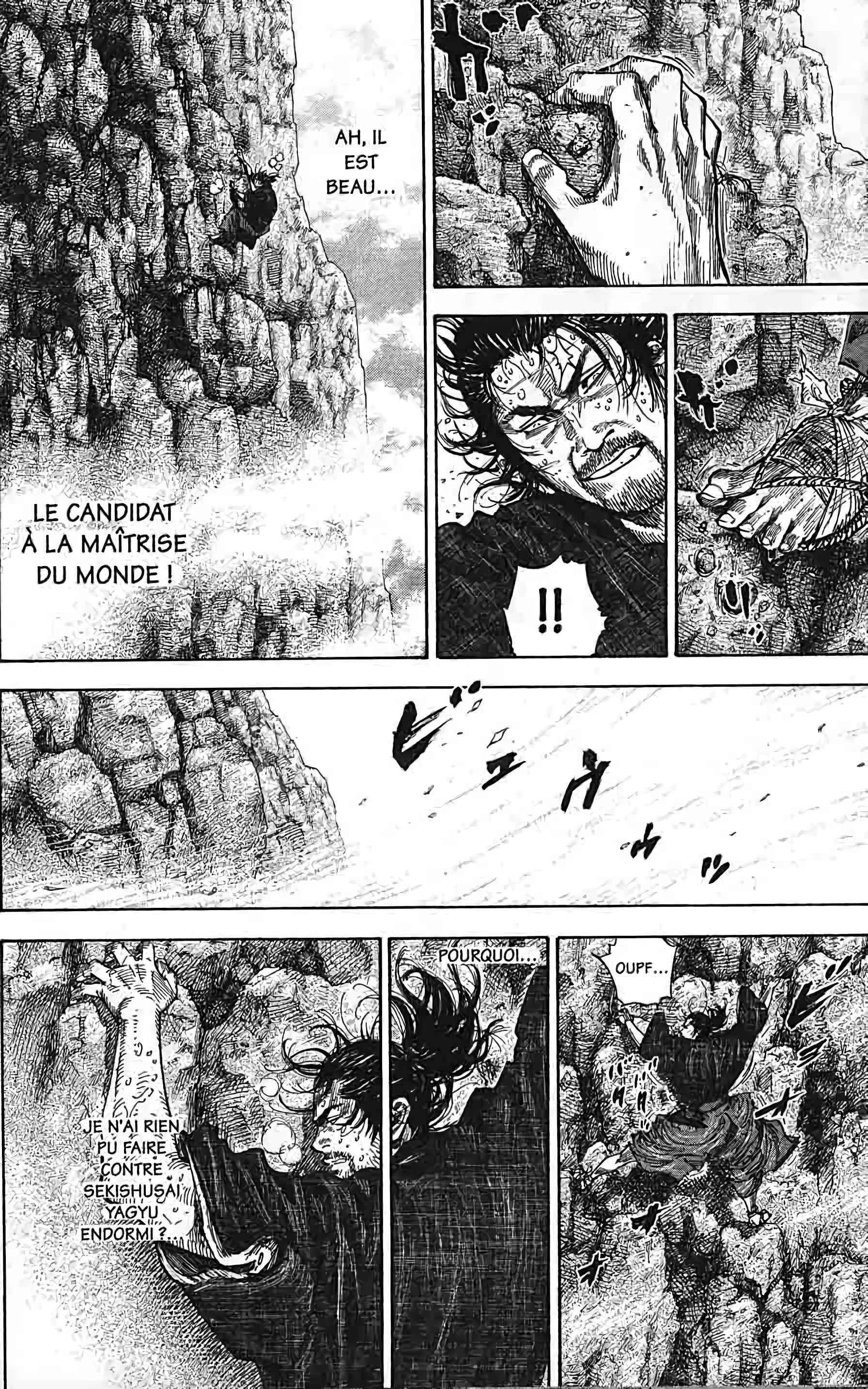 Read Vagabond FR Manga Online