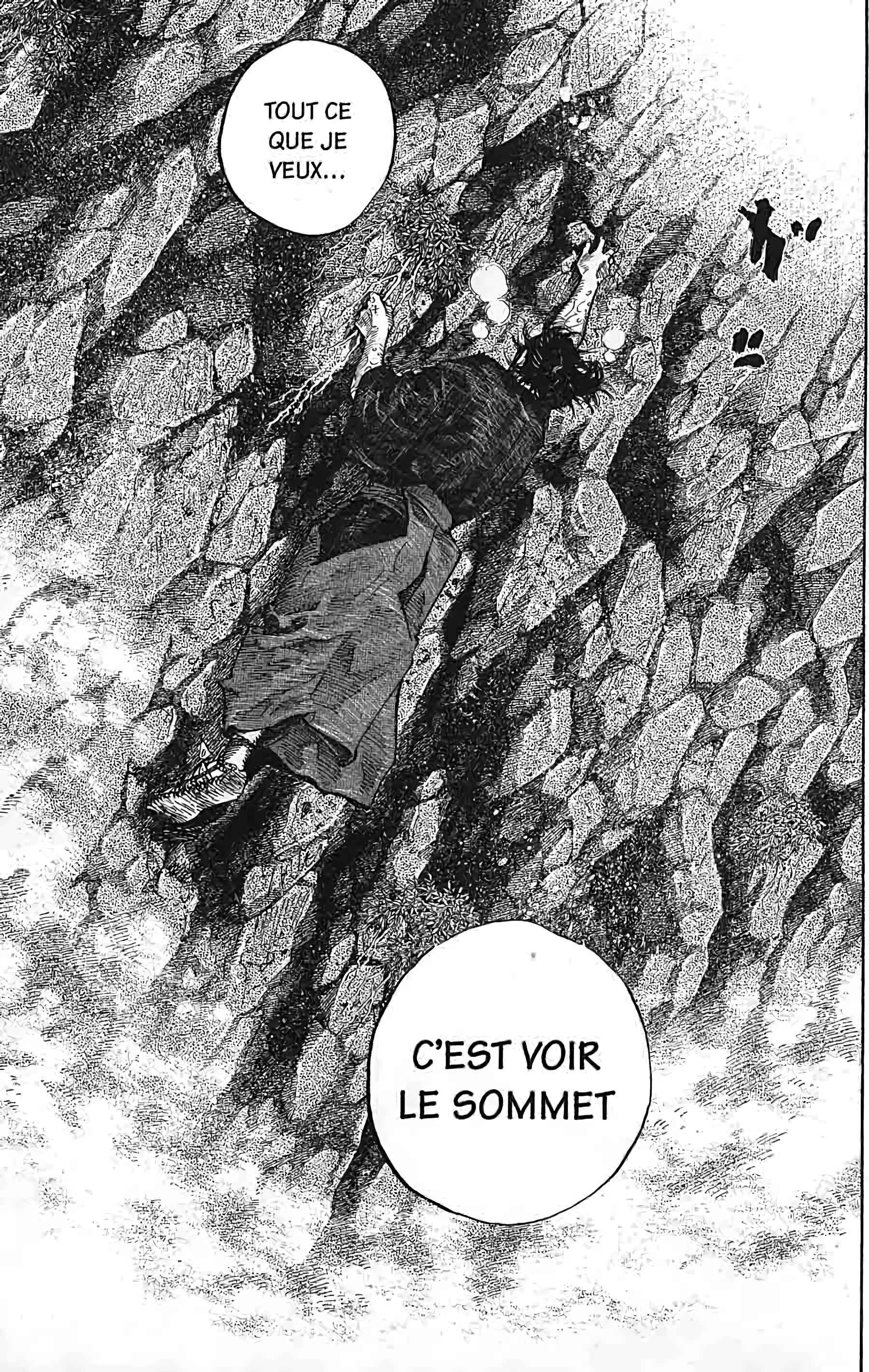 Read Vagabond FR Manga Online