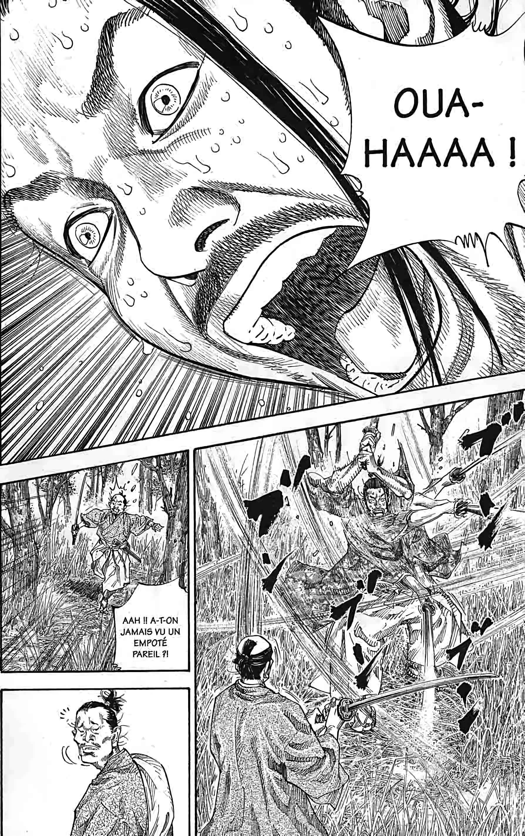 Read Vagabond FR Manga Online