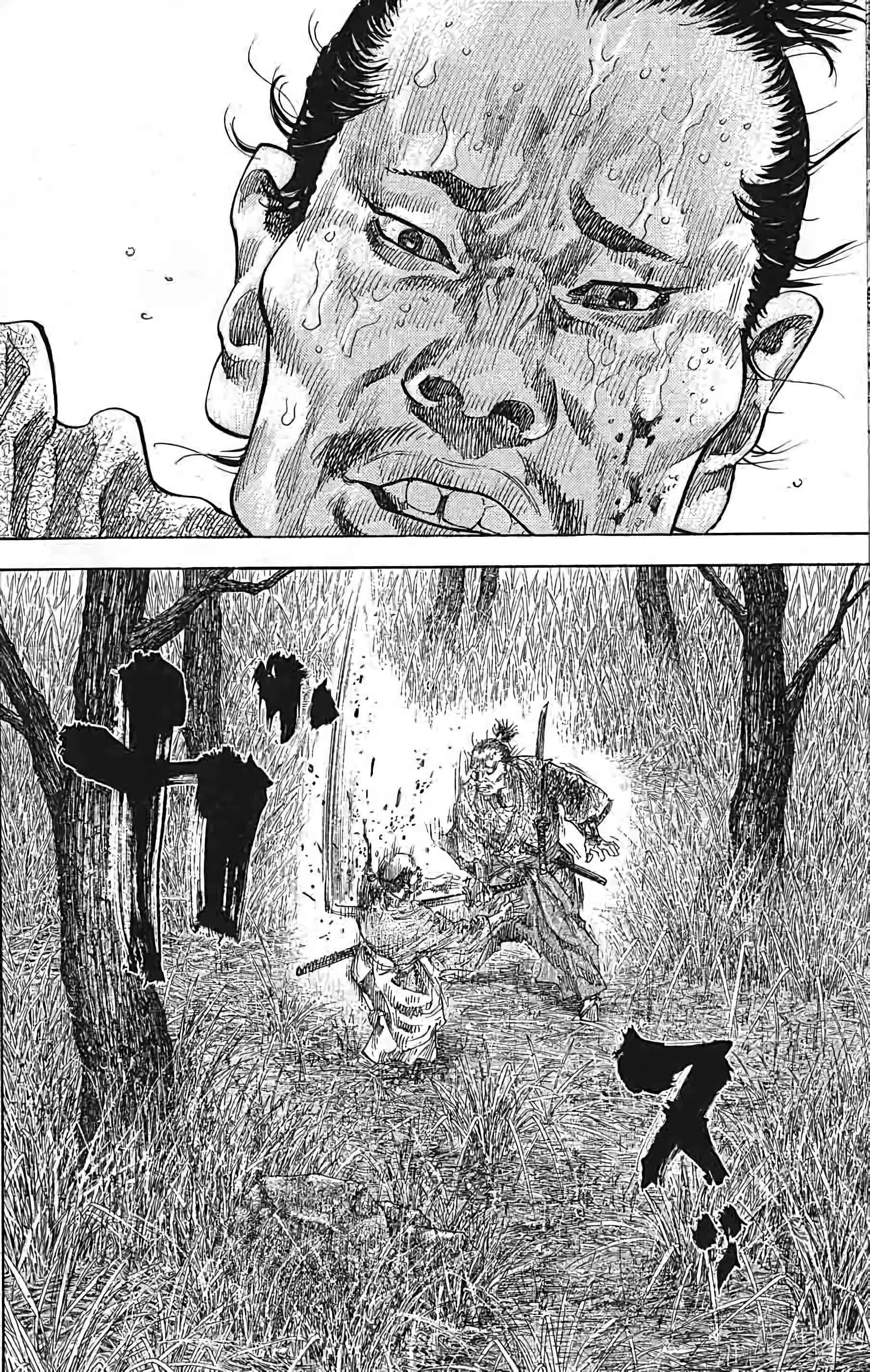 Read Vagabond FR Manga Online