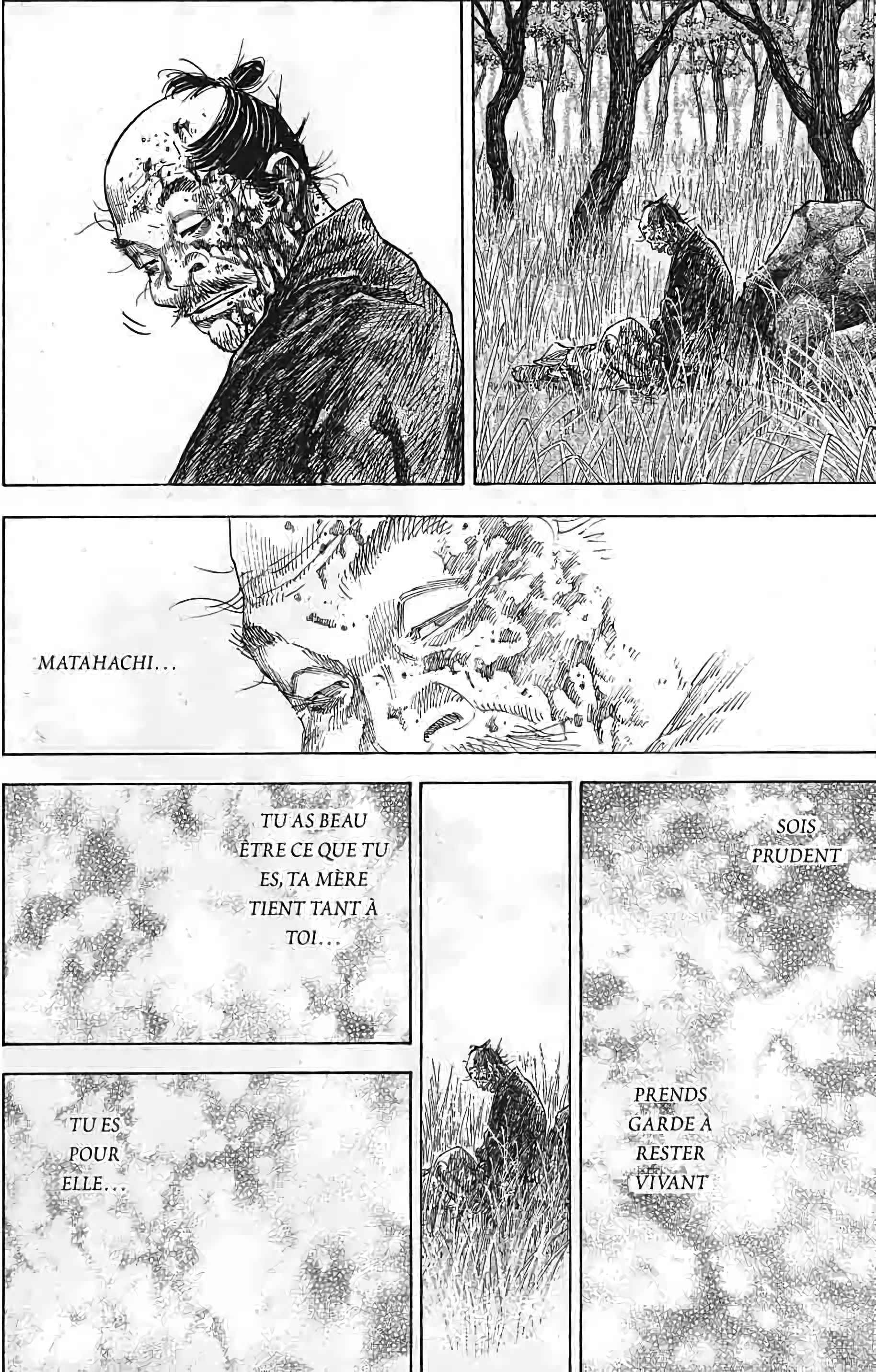 Read Vagabond FR Manga Online