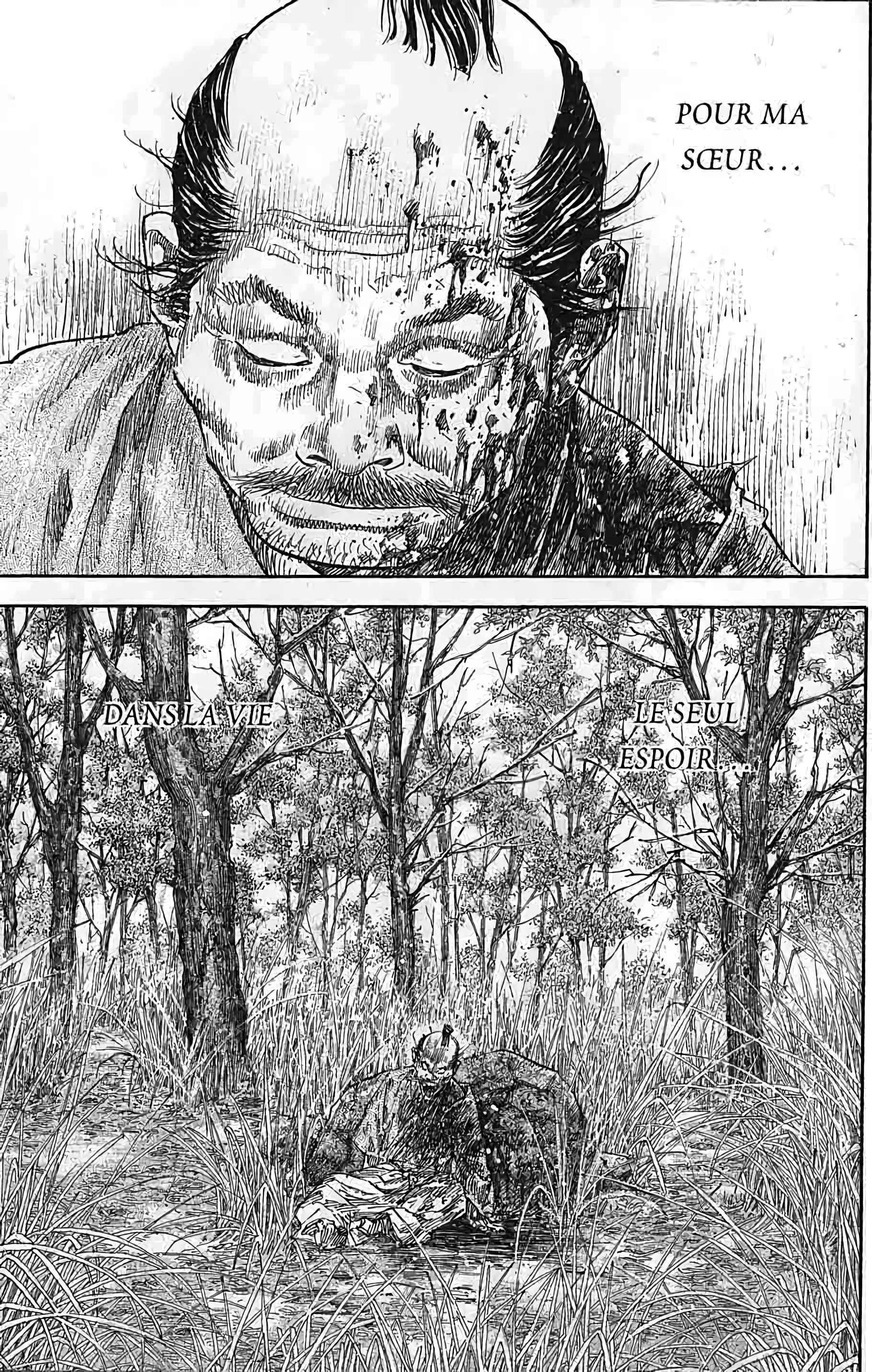 Read Vagabond FR Manga Online