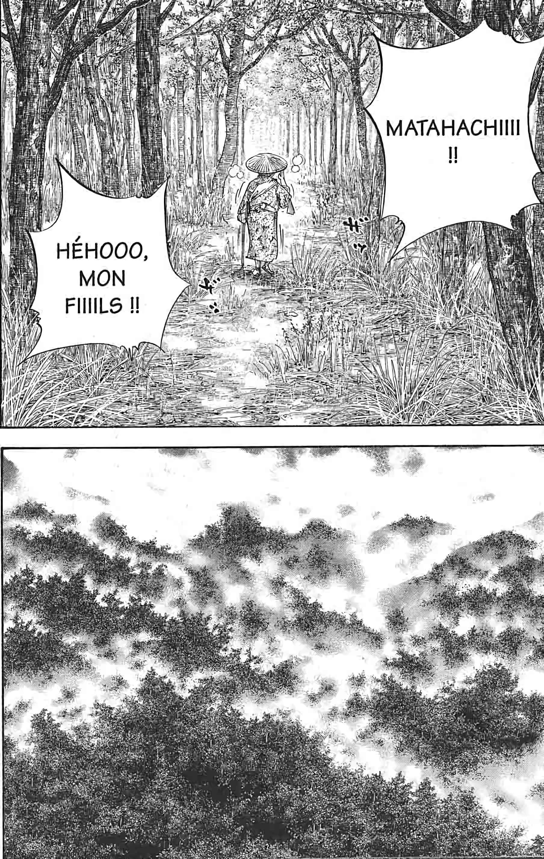 Read Vagabond FR Manga Online