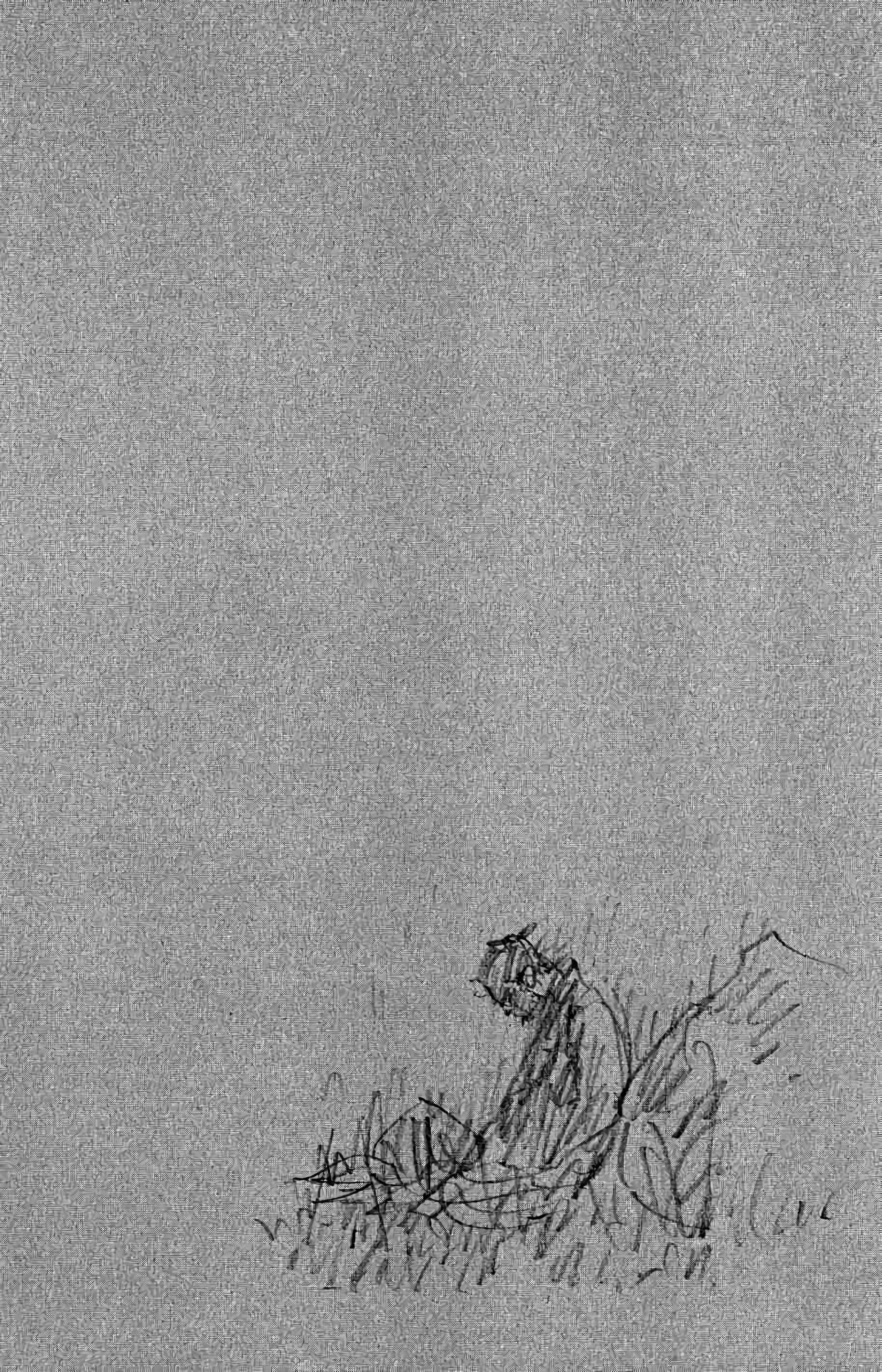 Read Vagabond FR Manga Online