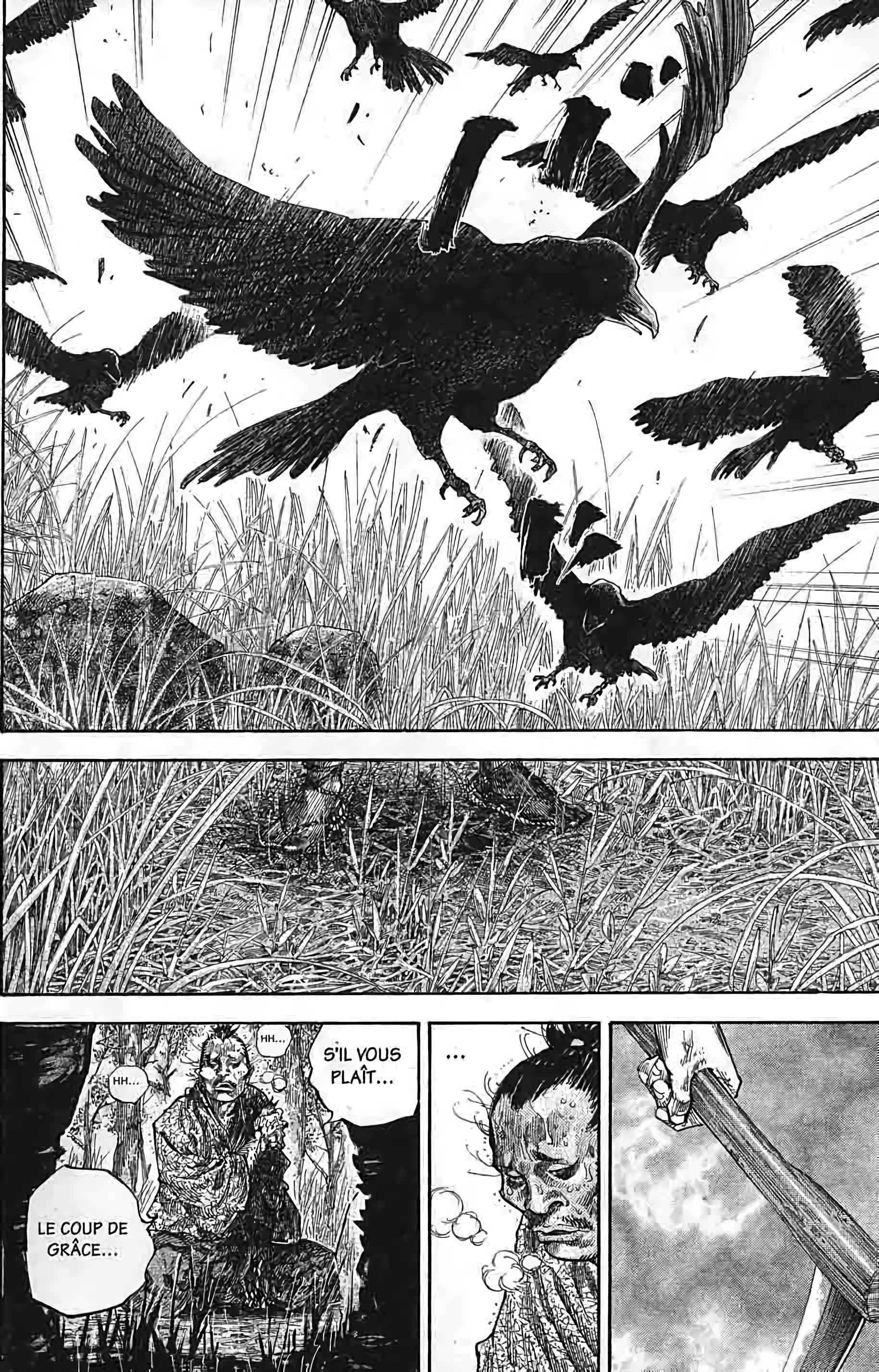 Read Vagabond FR Manga Online