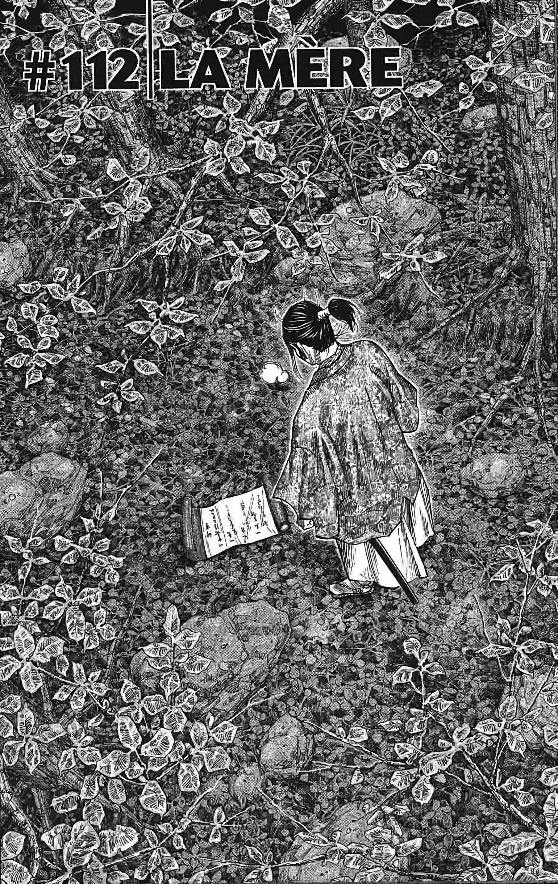 Read Vagabond FR Manga Online