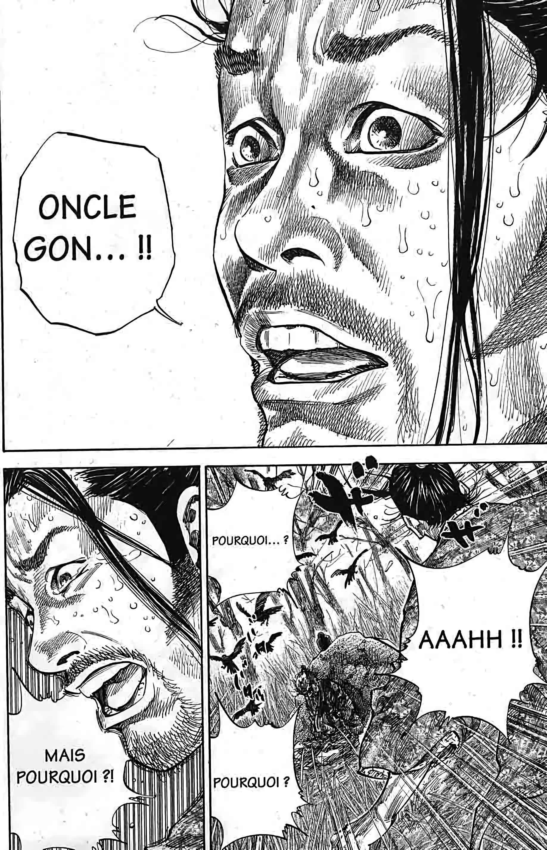 Read Vagabond FR Manga Online