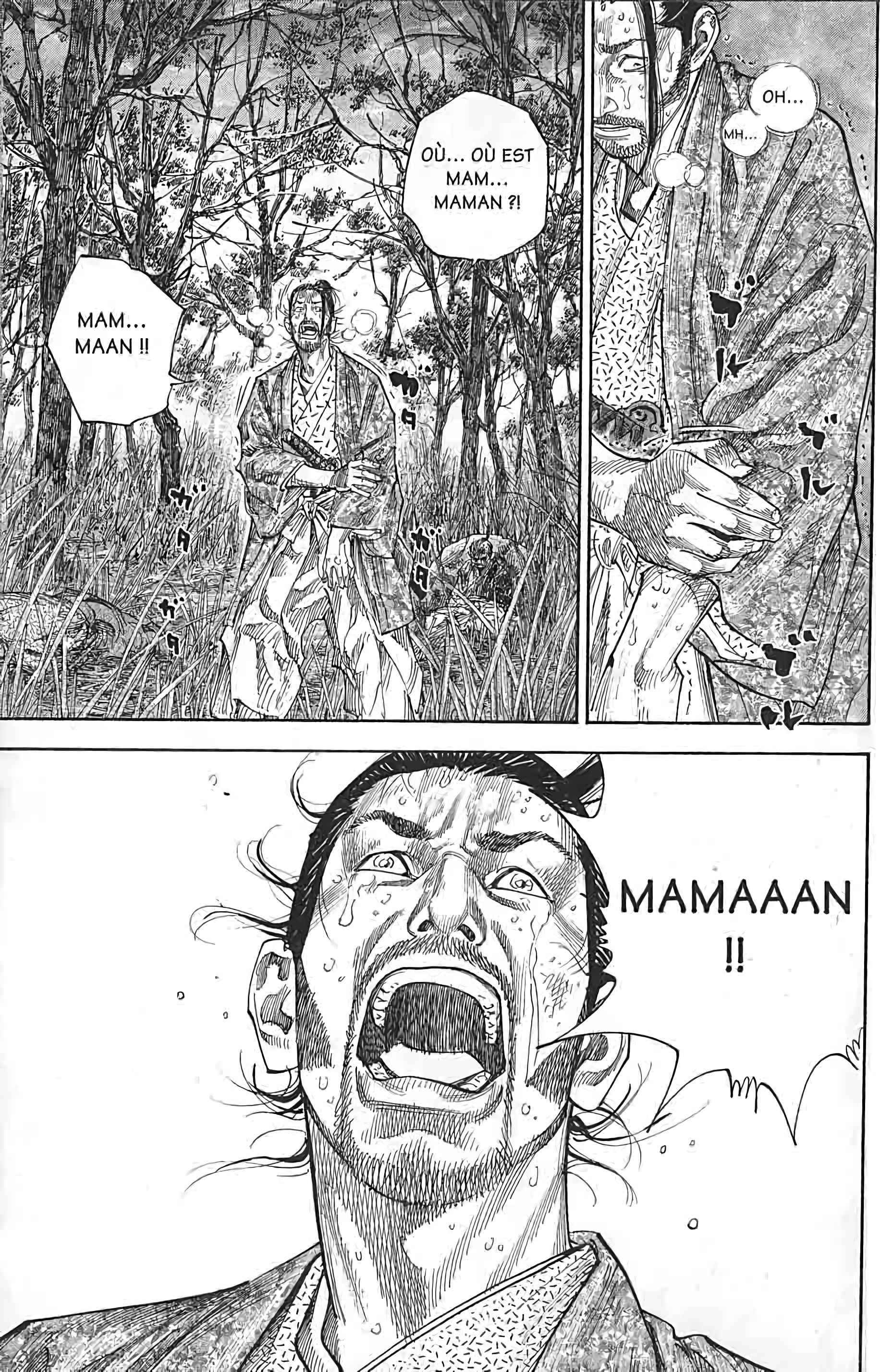 Read Vagabond FR Manga Online