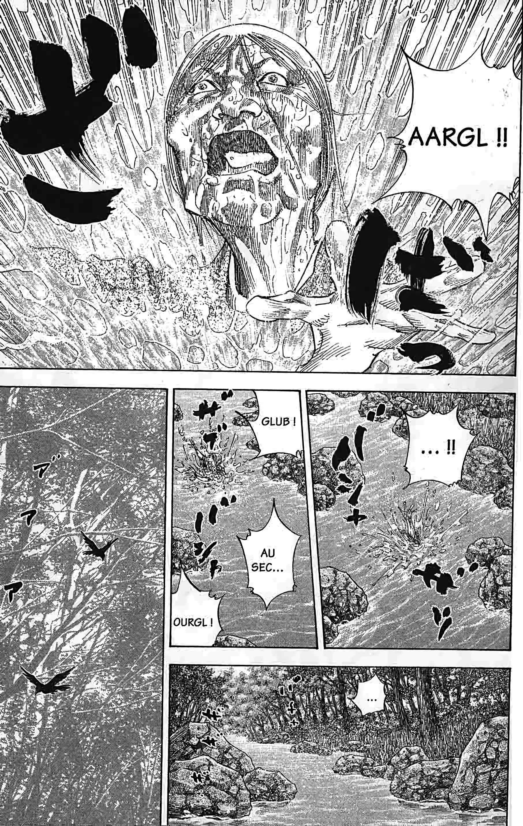 Read Vagabond FR Manga Online