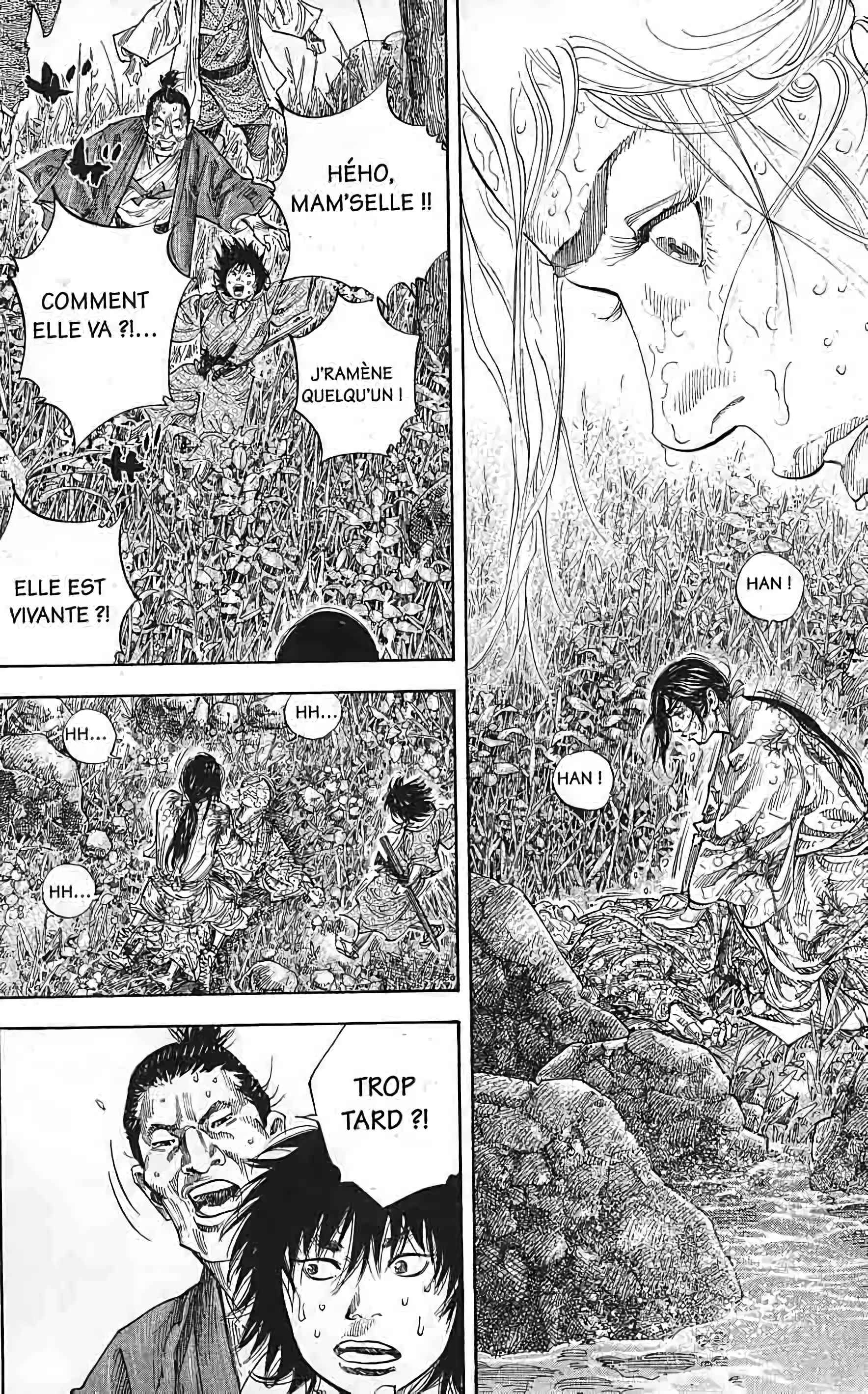 Read Vagabond FR Manga Online