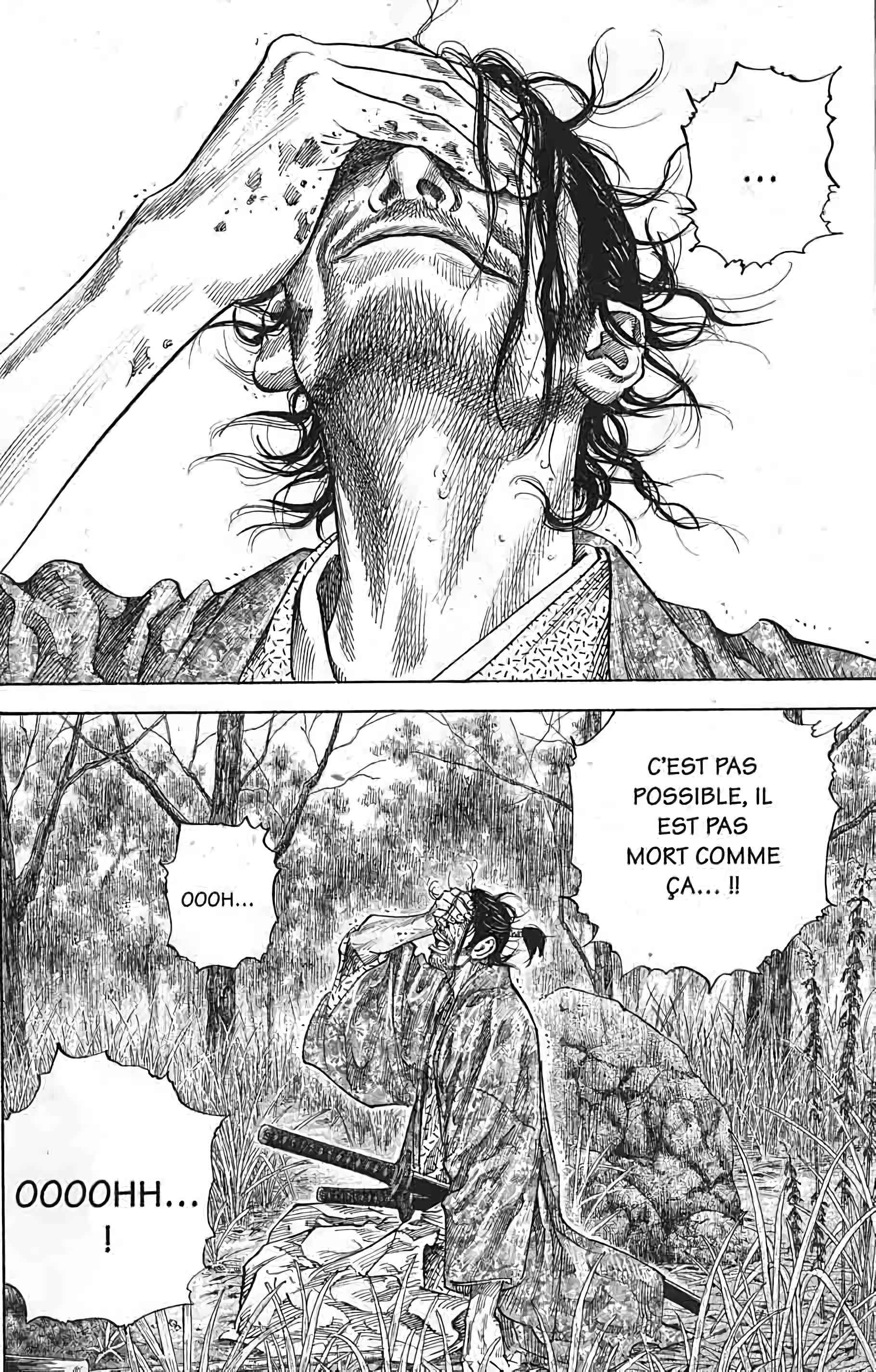 Read Vagabond FR Manga Online