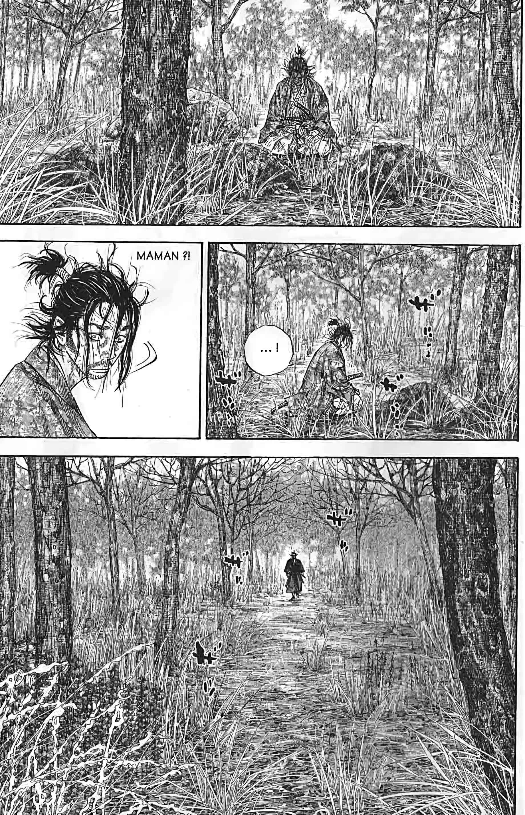 Read Vagabond FR Manga Online