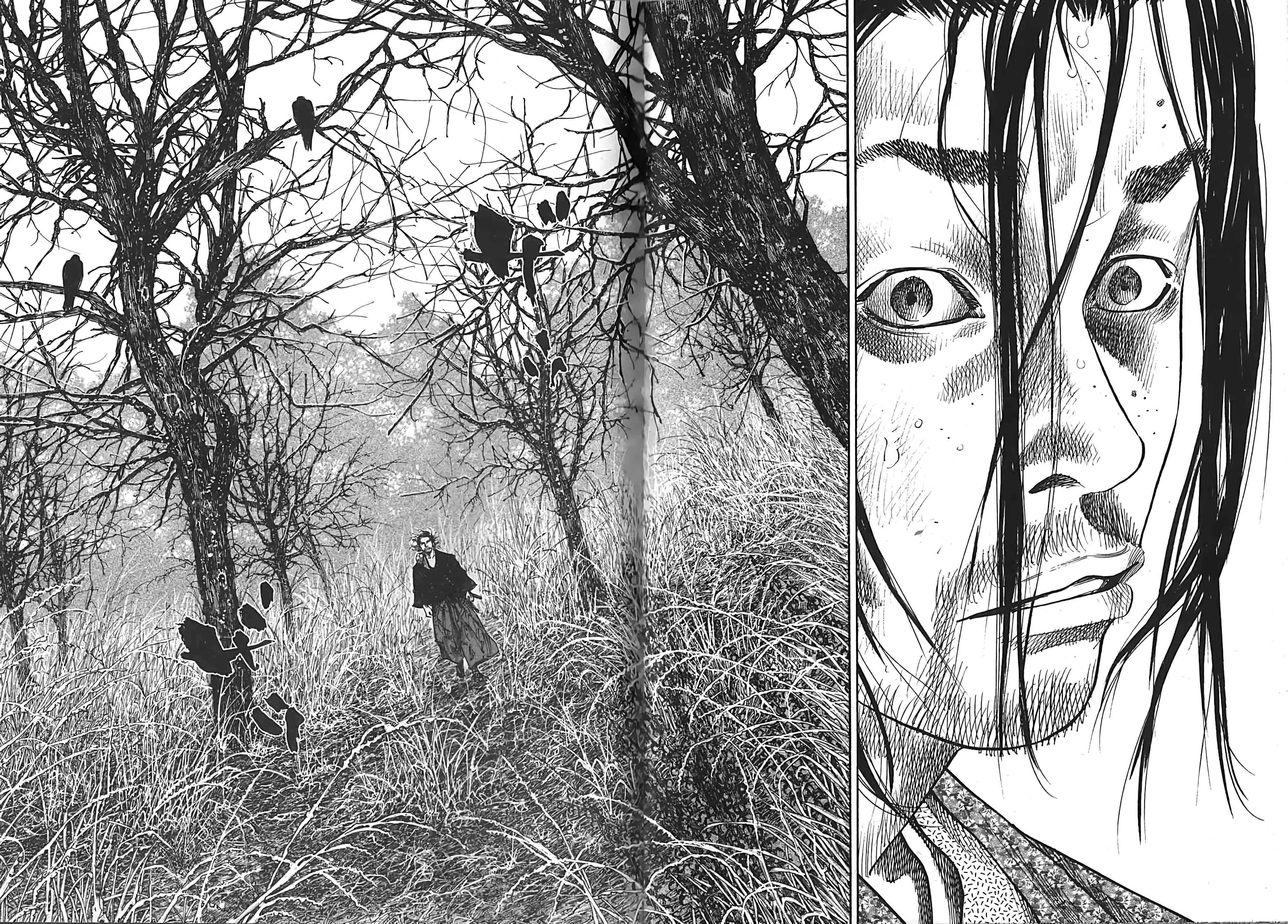Read Vagabond FR Manga Online