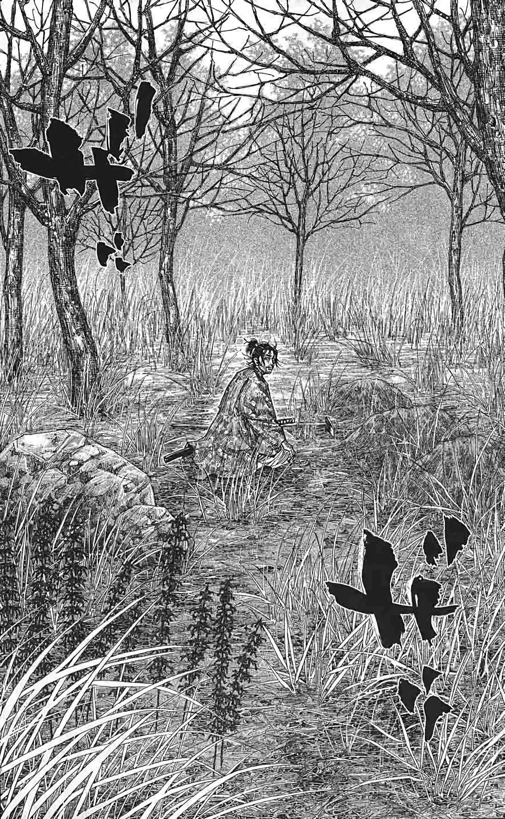 Read Vagabond FR Manga Online