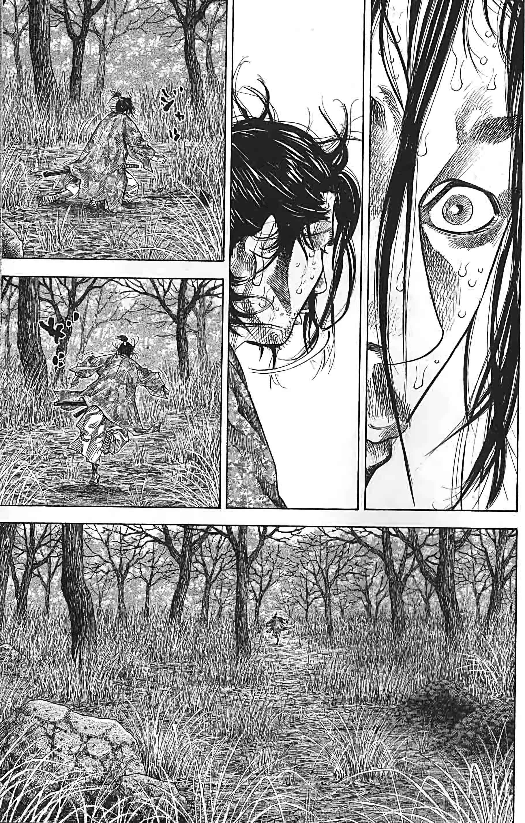 Read Vagabond FR Manga Online
