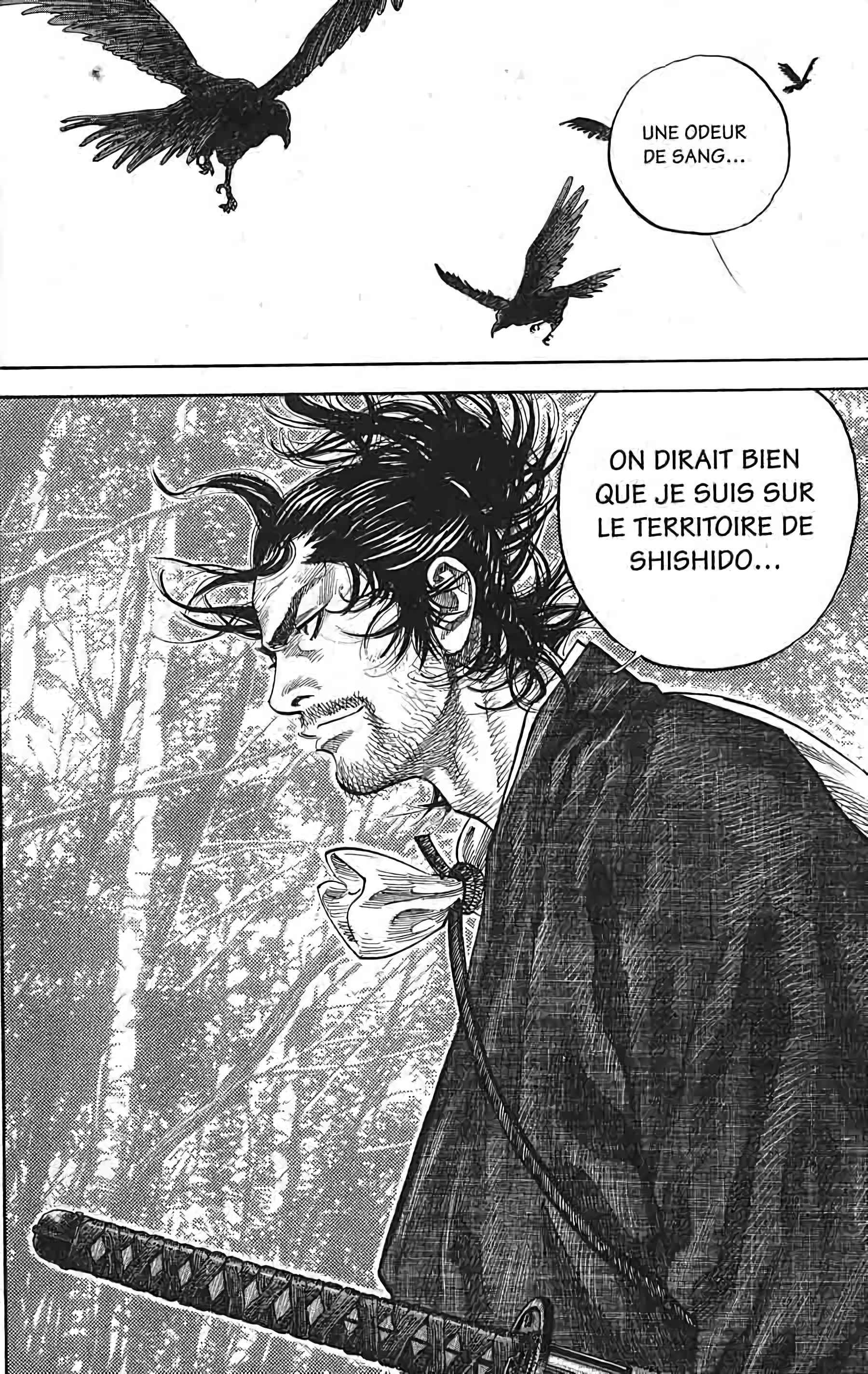 Read Vagabond FR Manga Online