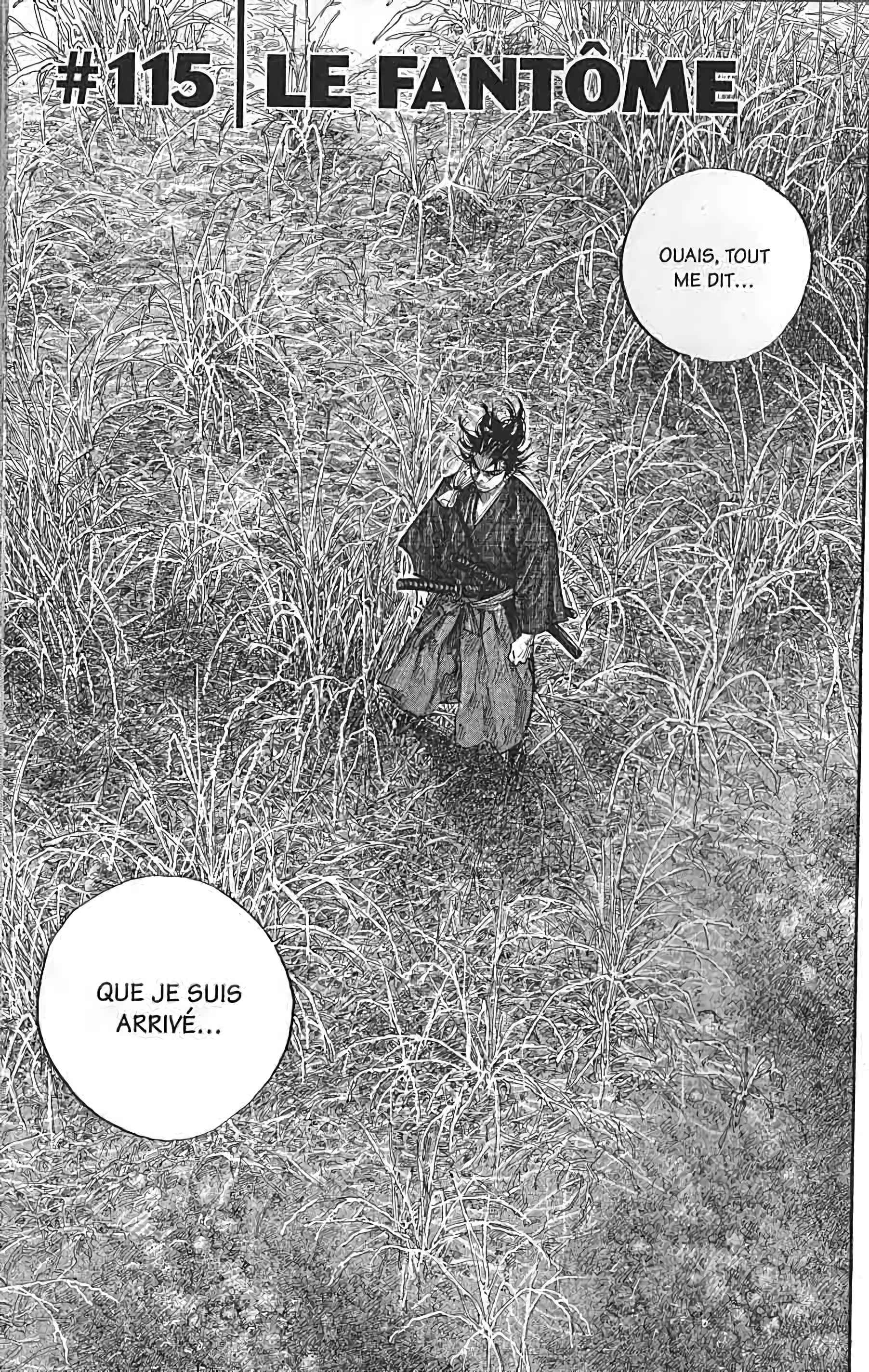 Read Vagabond FR Manga Online