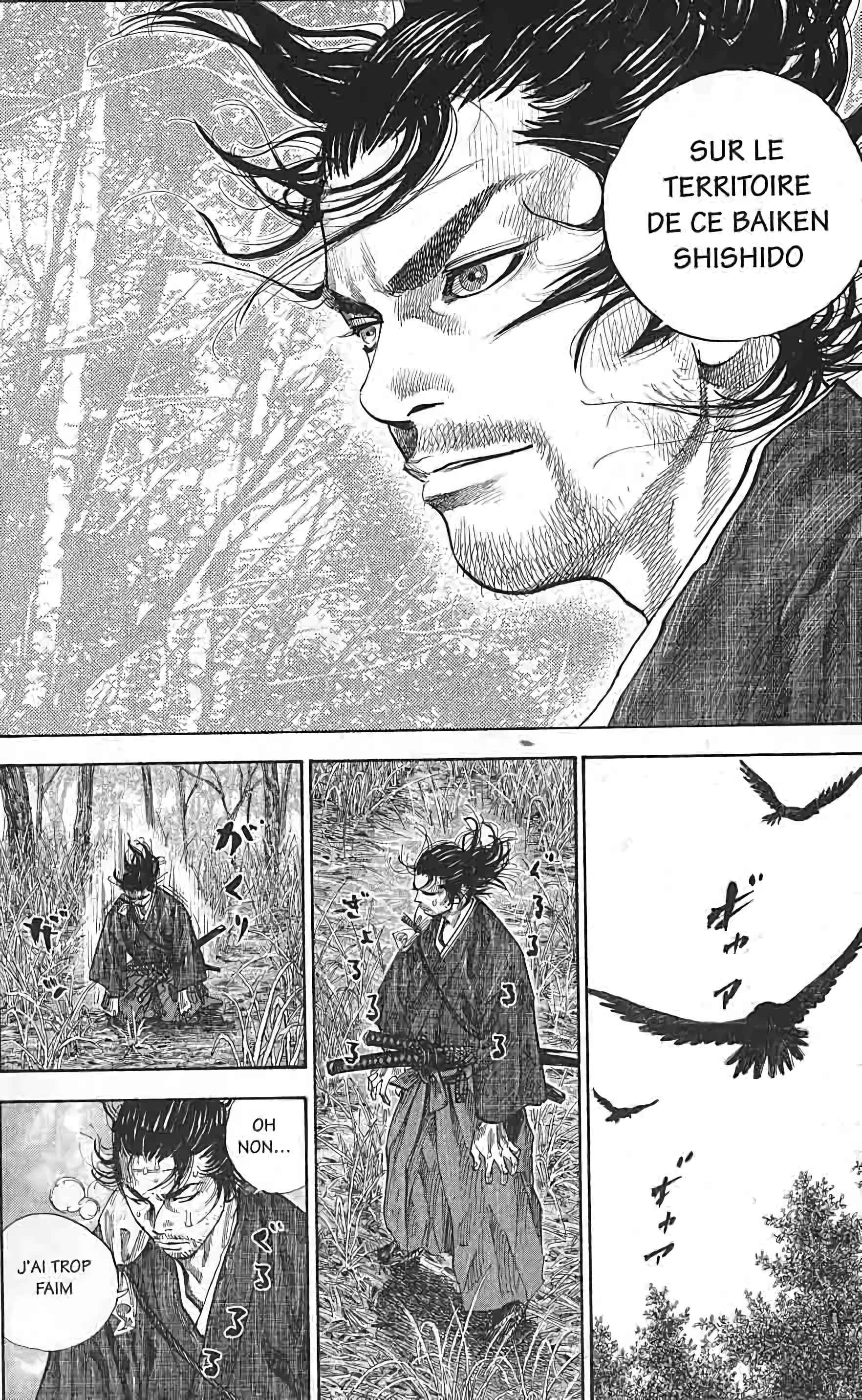 Read Vagabond FR Manga Online