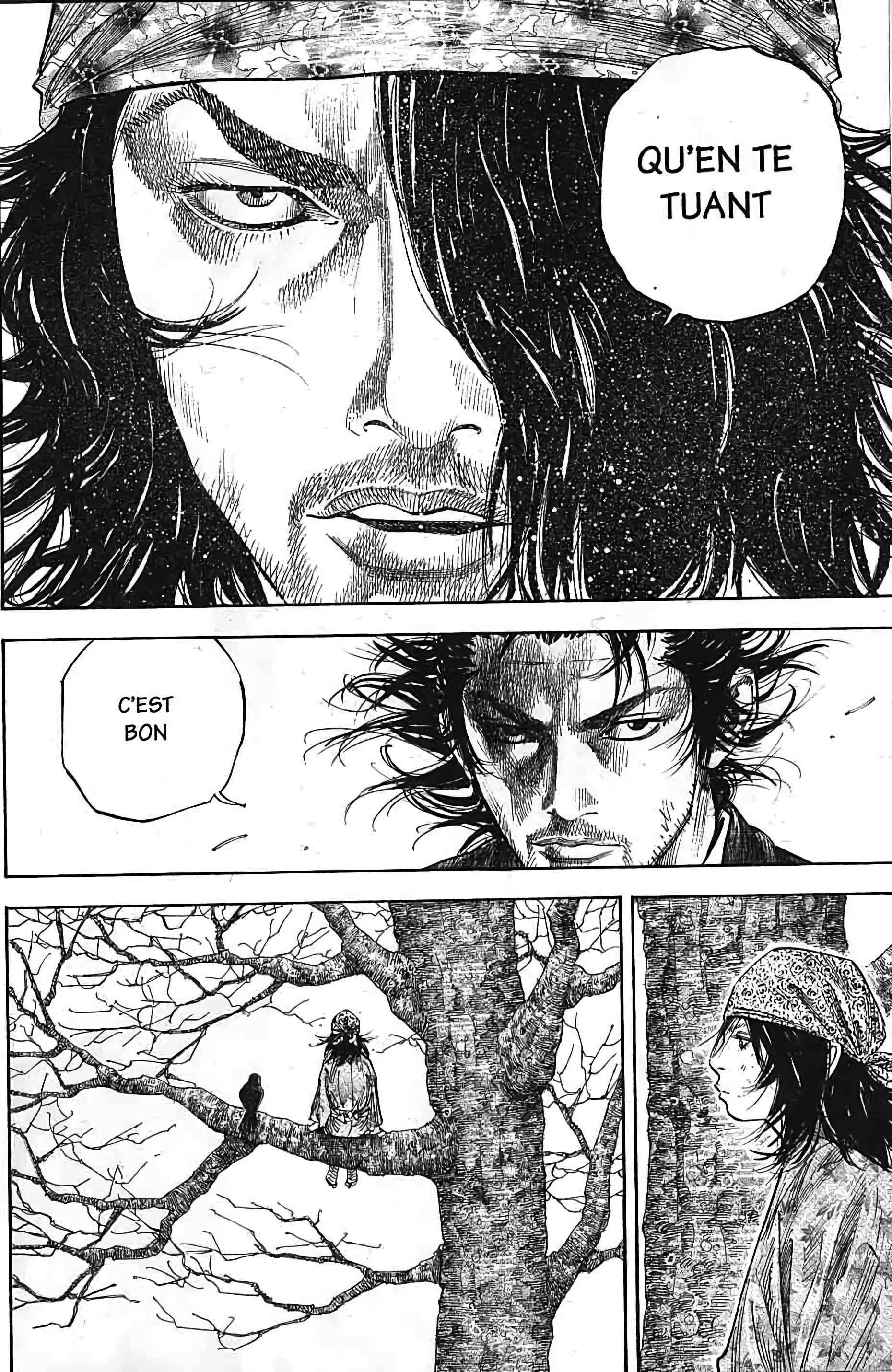 Read Vagabond FR Manga Online
