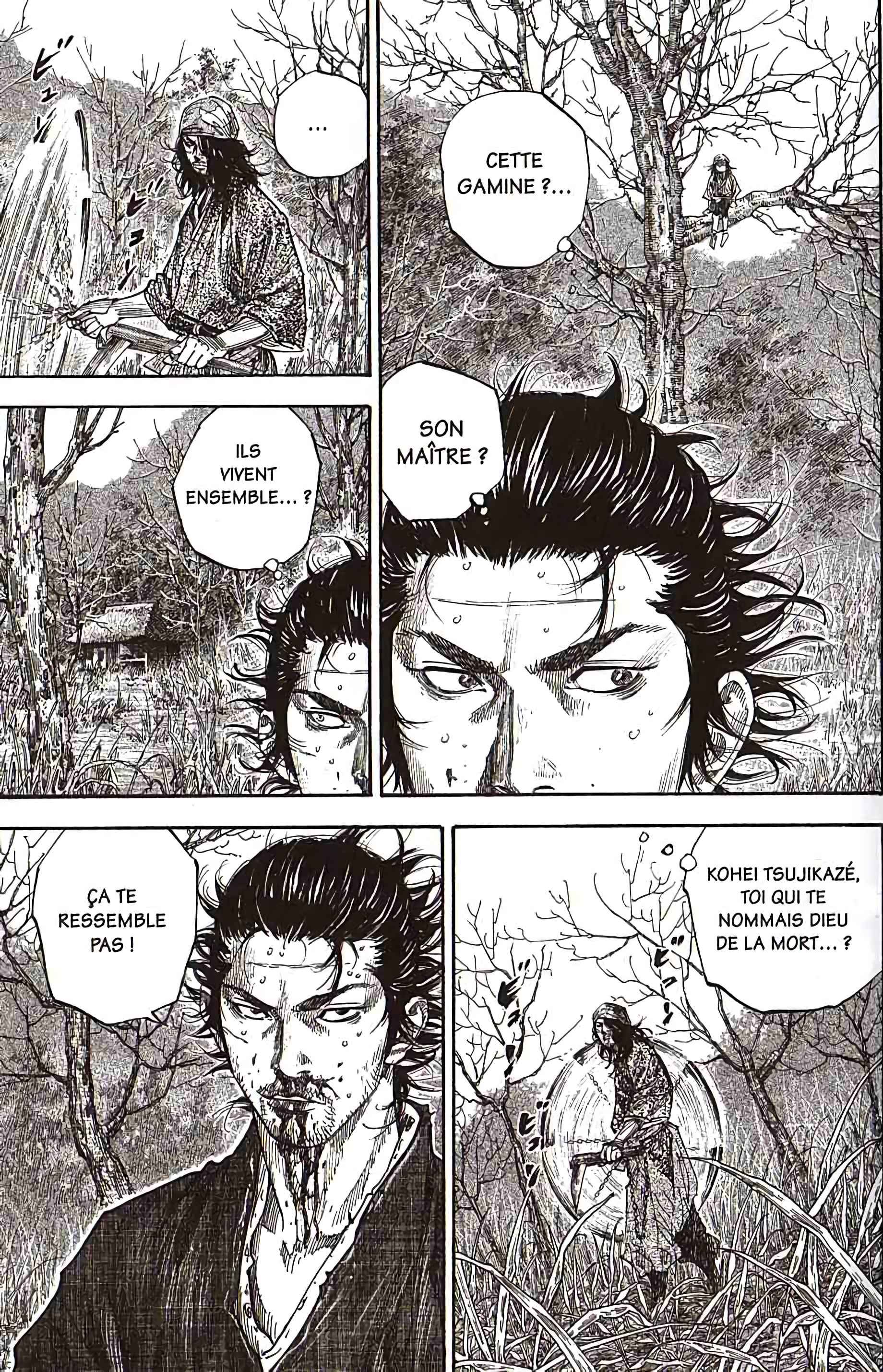 Read Vagabond FR Manga Online
