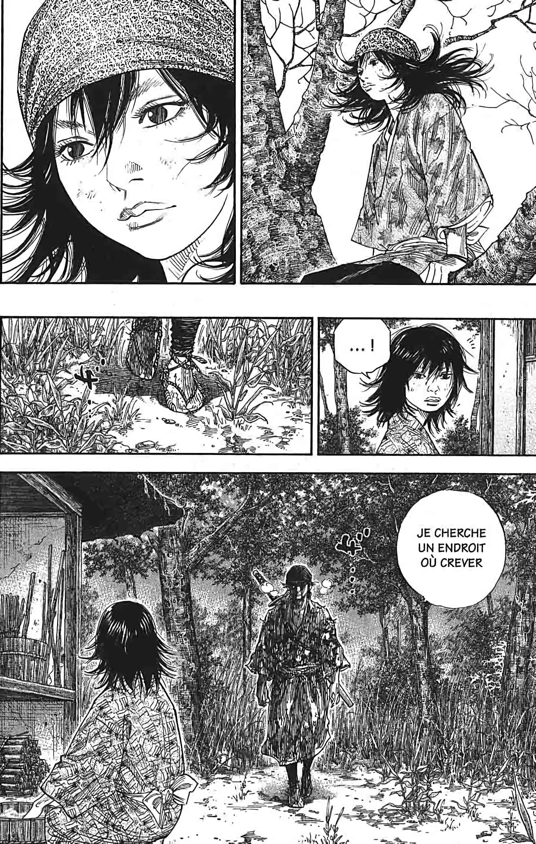 Read Vagabond FR Manga Online