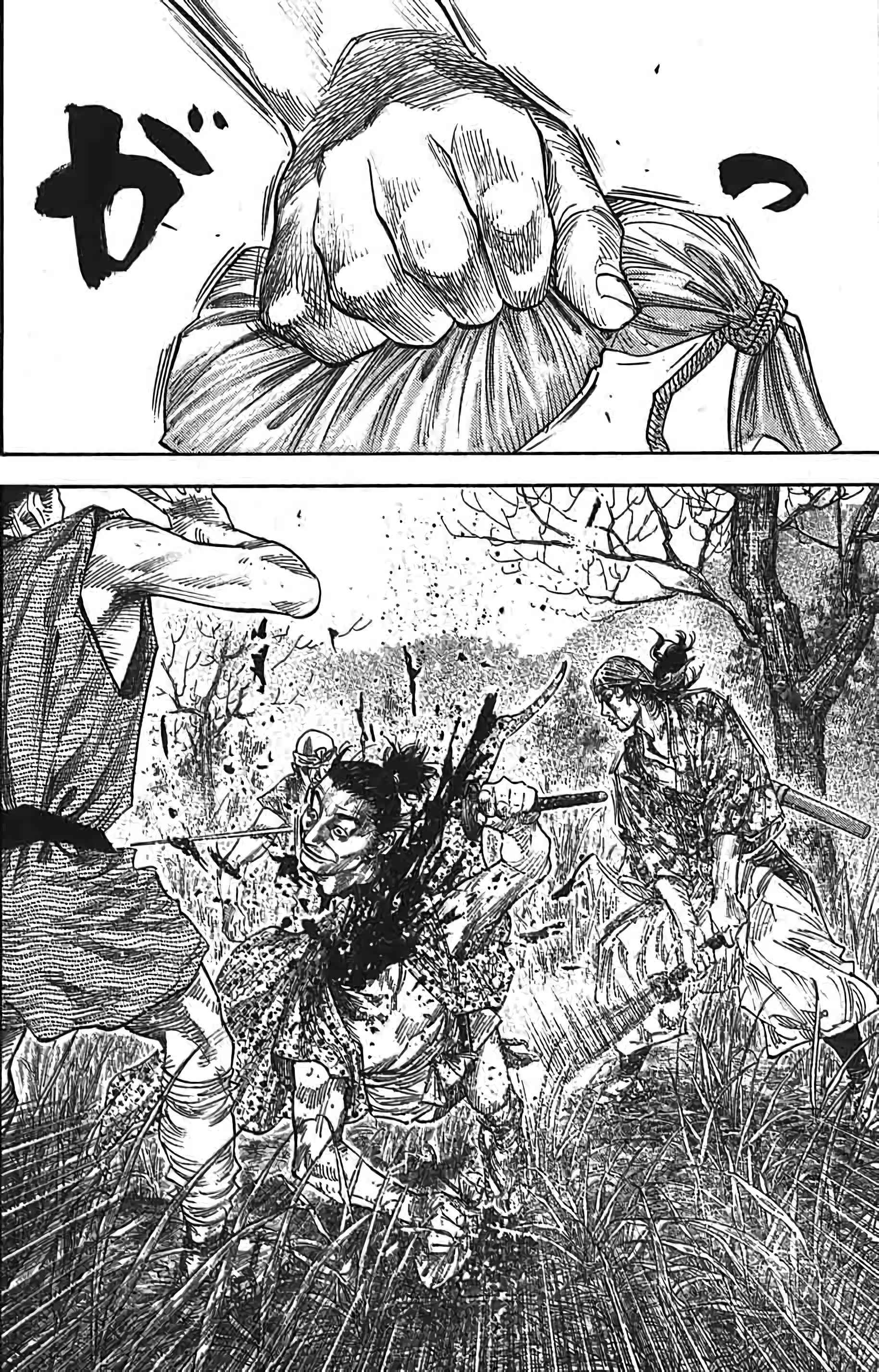 Read Vagabond FR Manga Online