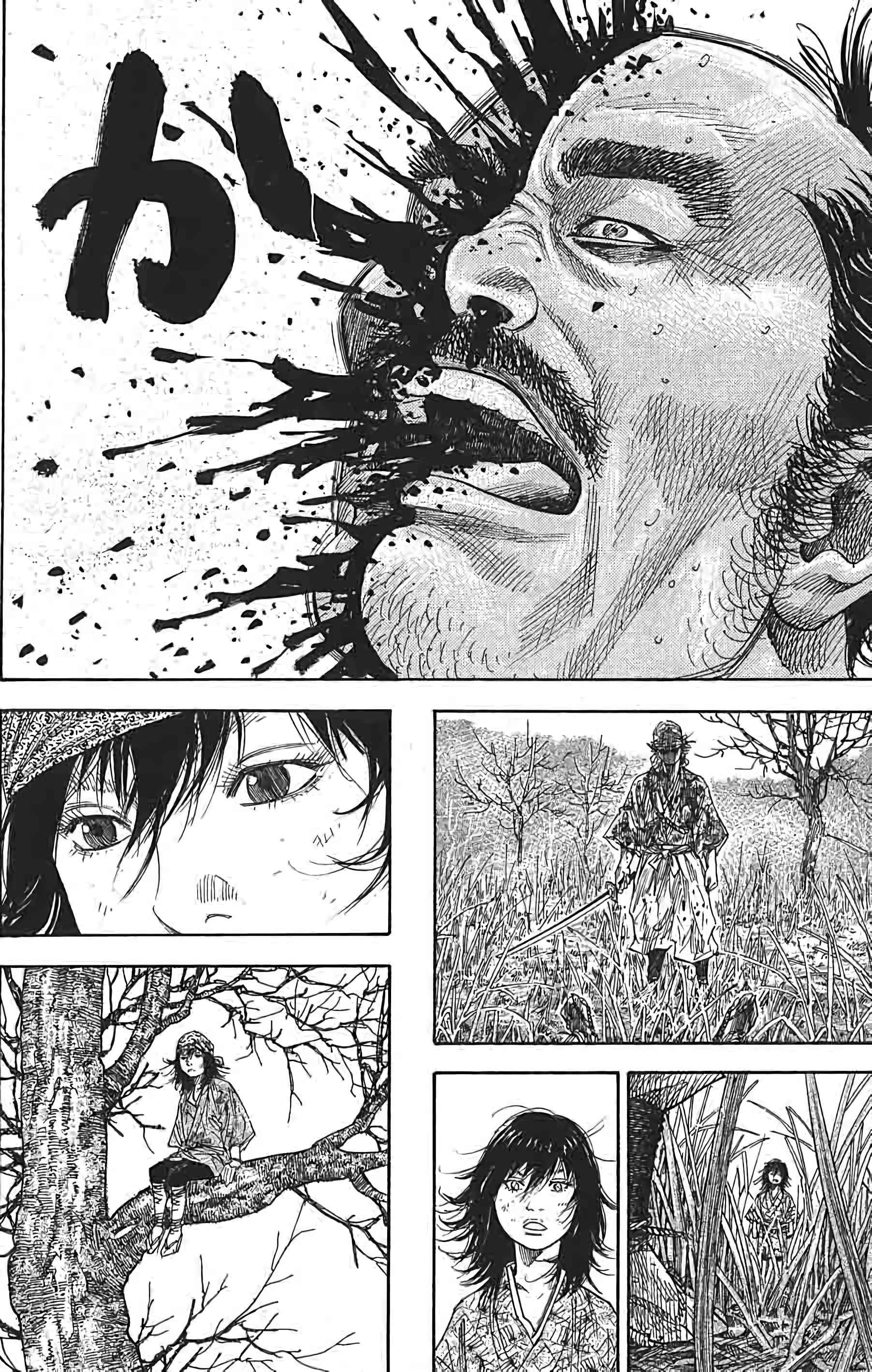 Read Vagabond FR Manga Online