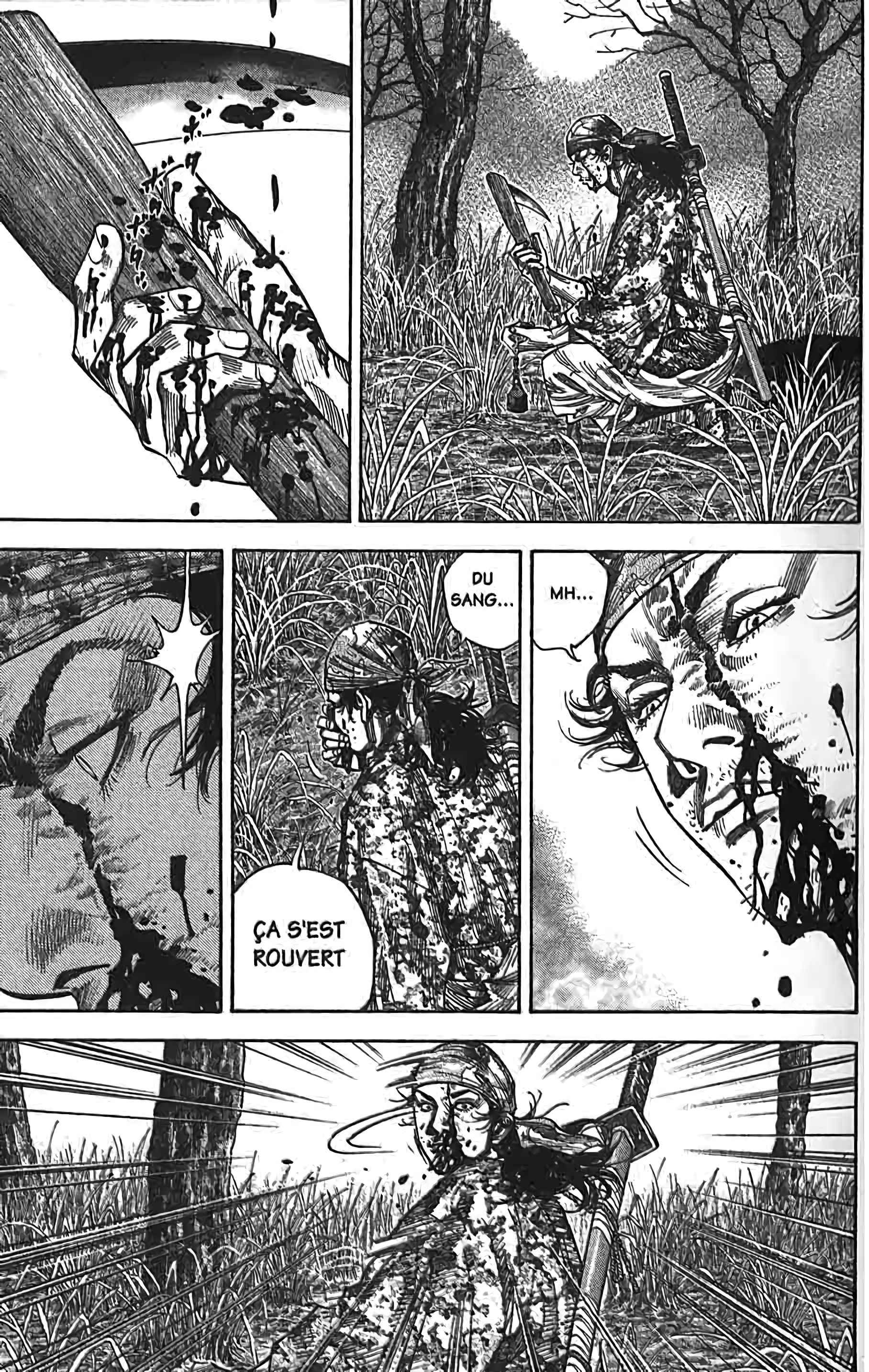 Read Vagabond FR Manga Online