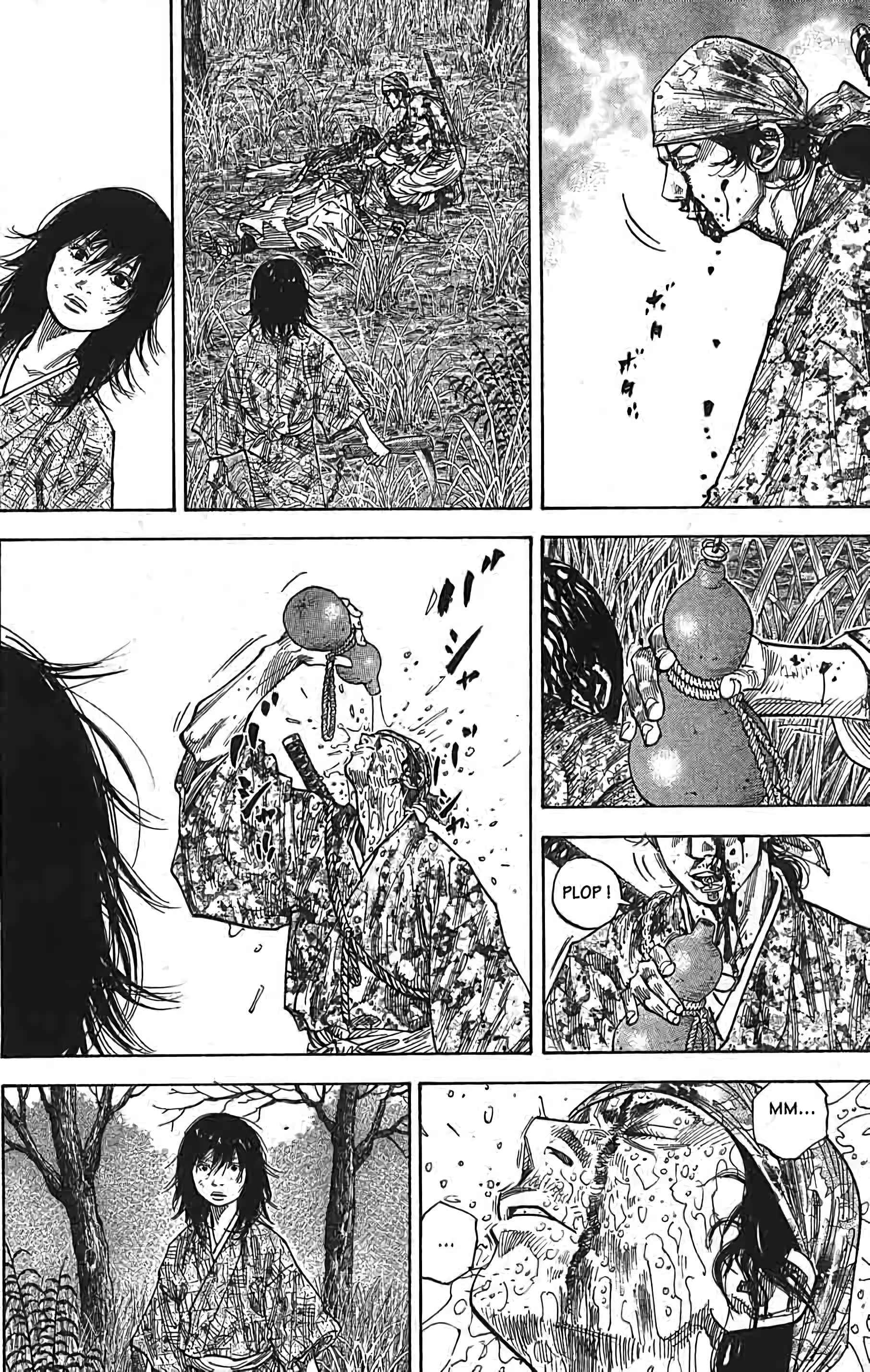 Read Vagabond FR Manga Online