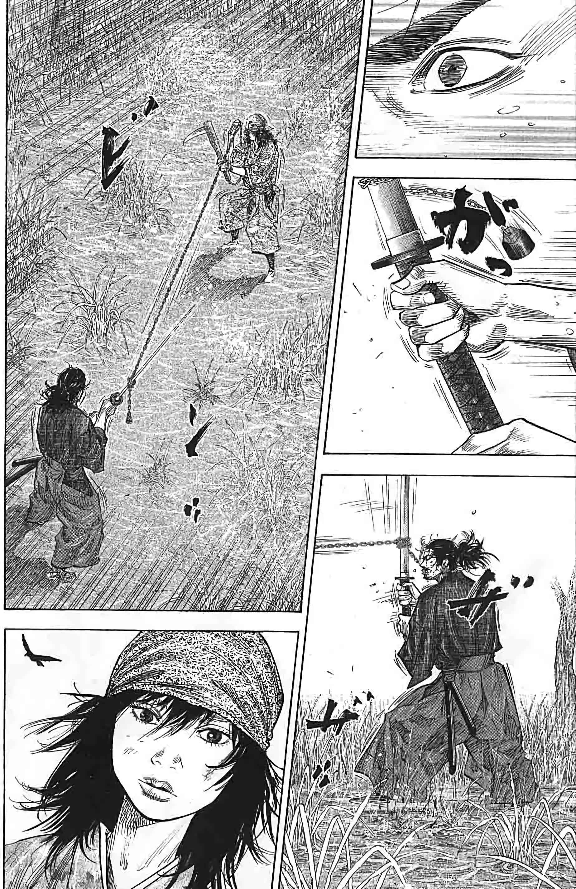 Read Vagabond FR Manga Online