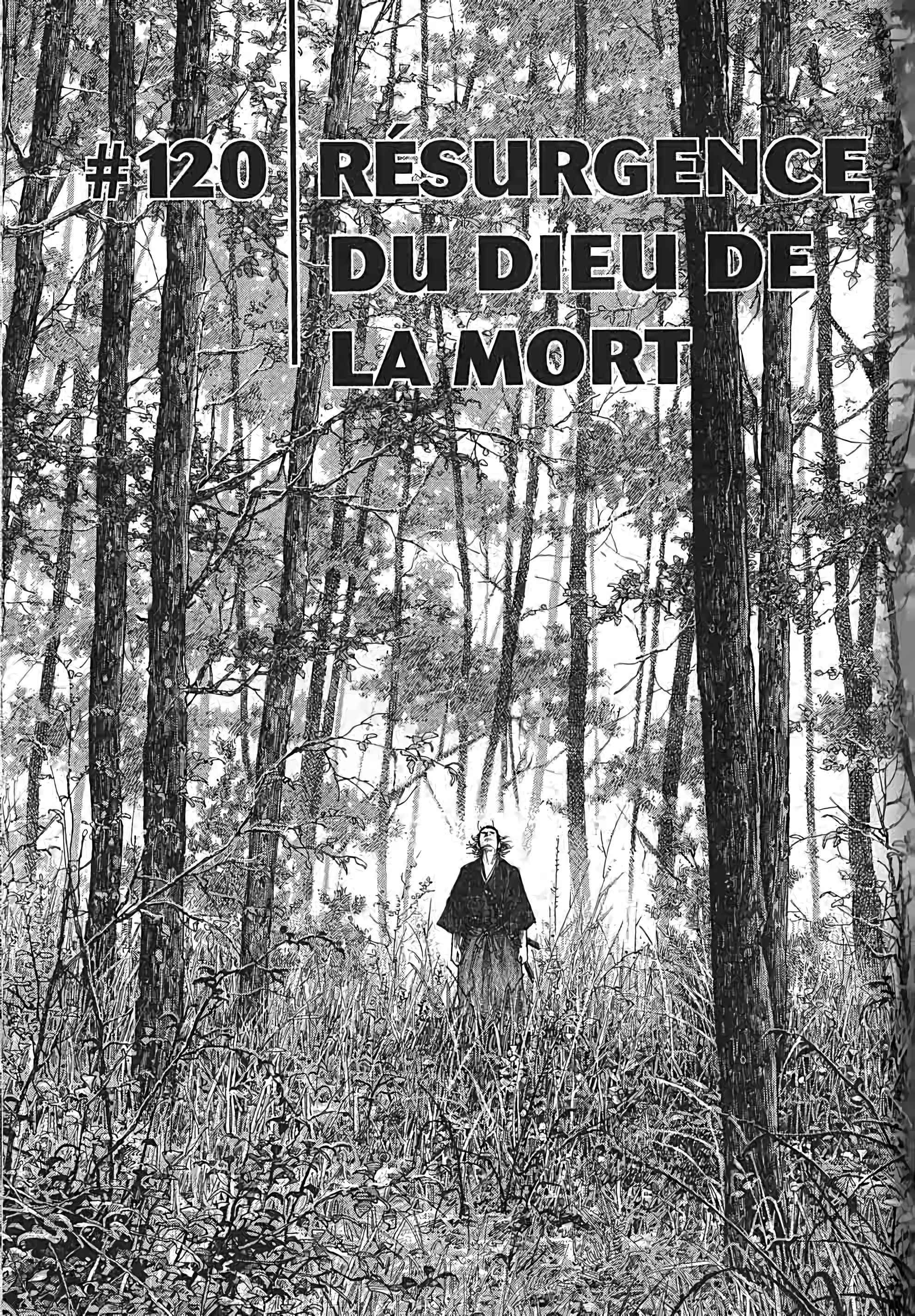 Read Vagabond FR Manga Online