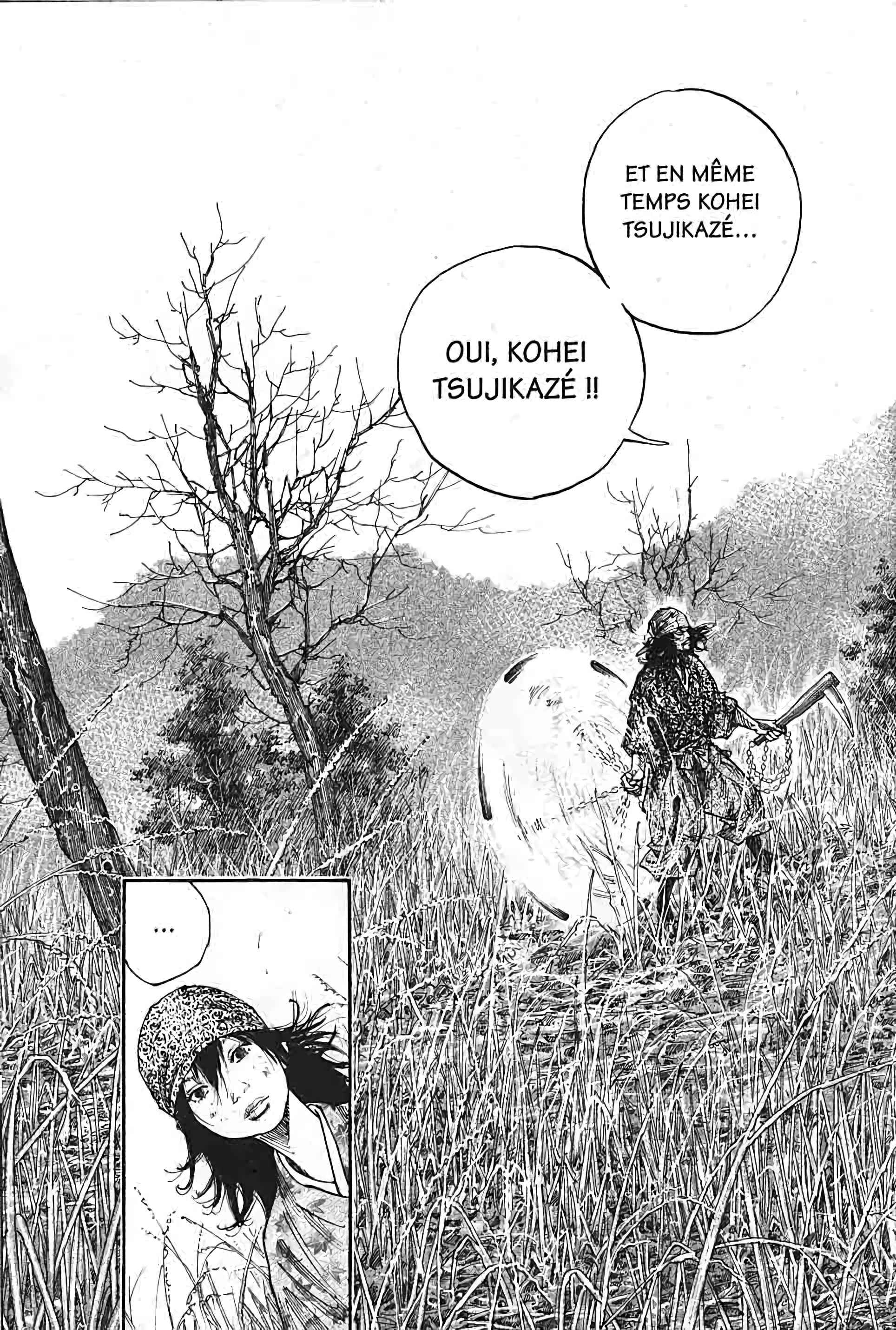 Read Vagabond FR Manga Online