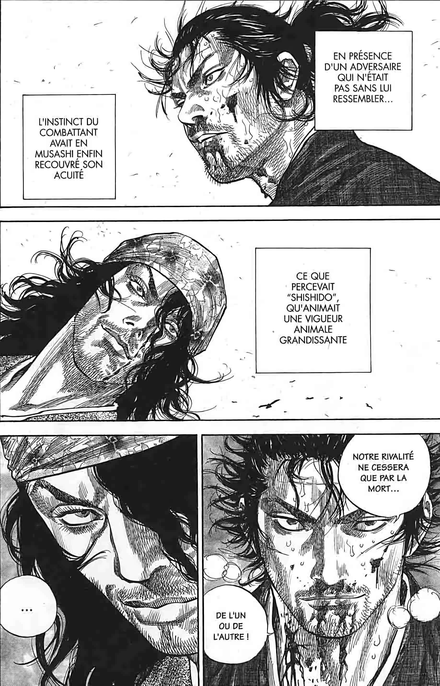 Read Vagabond FR Manga Online