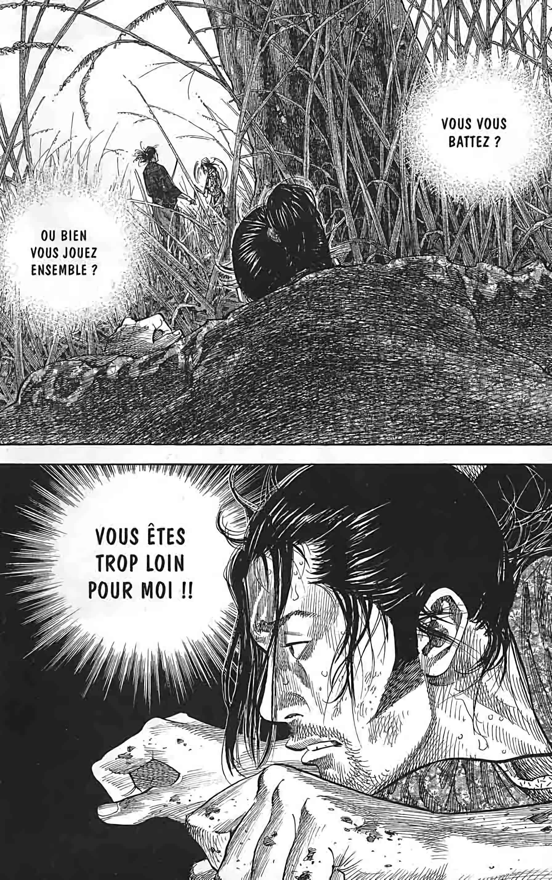 Read Vagabond FR Manga Online