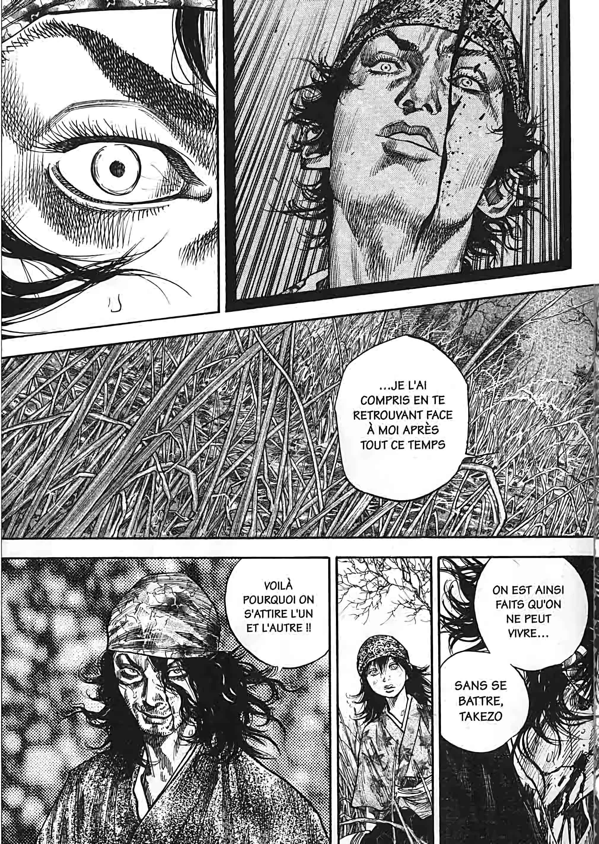 Read Vagabond FR Manga Online