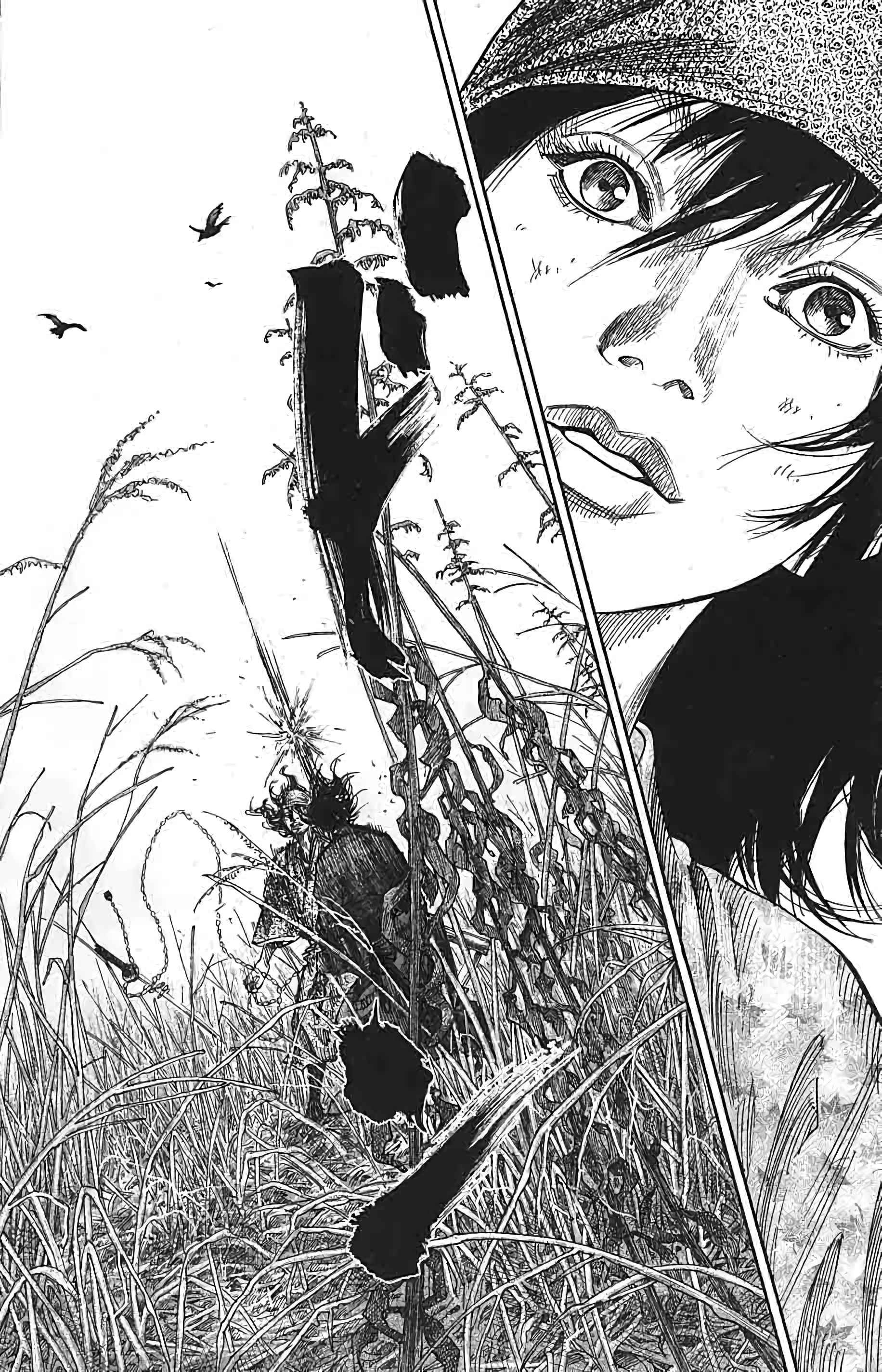 Read Vagabond FR Manga Online