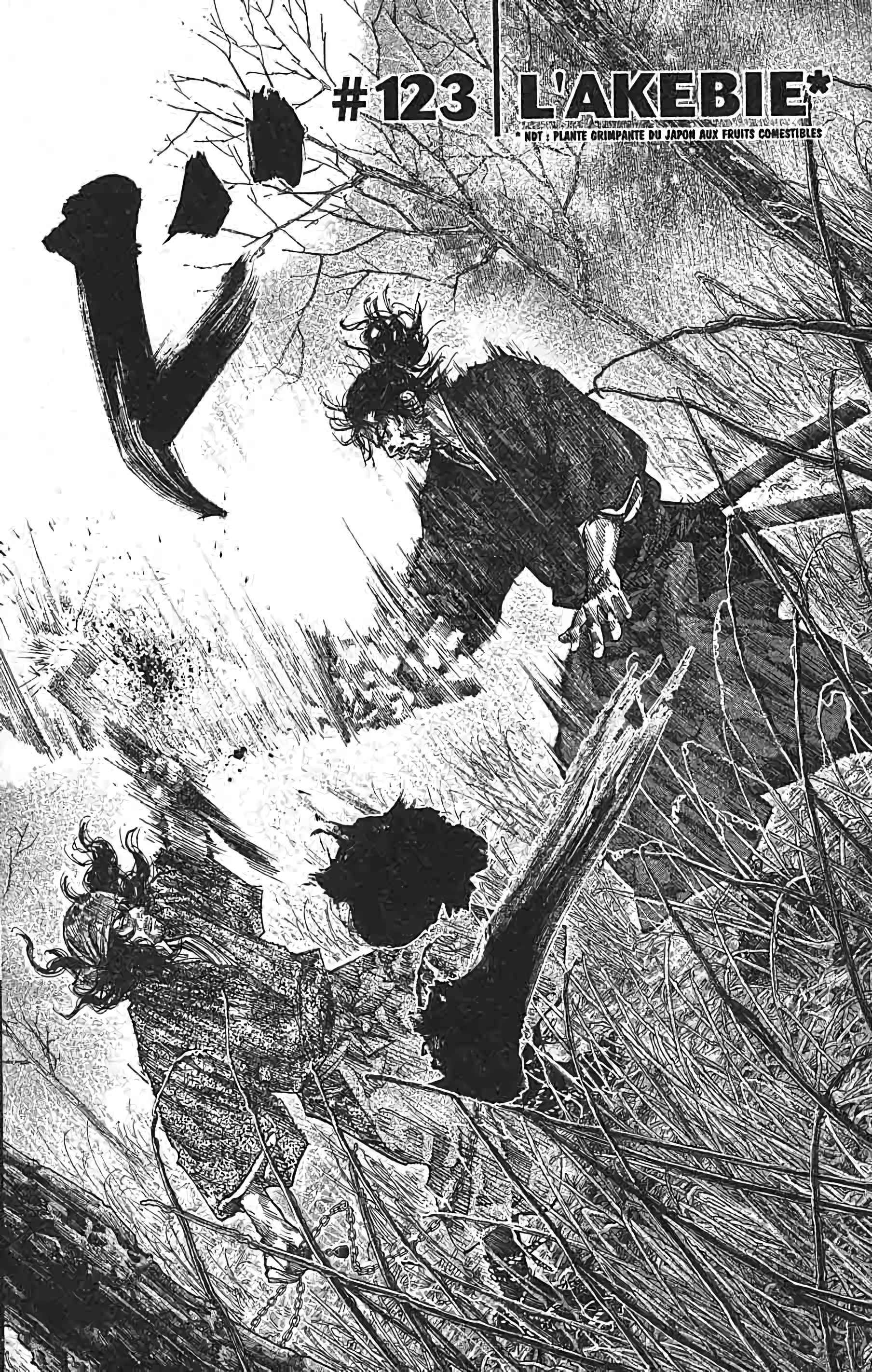 Read Vagabond FR Manga Online